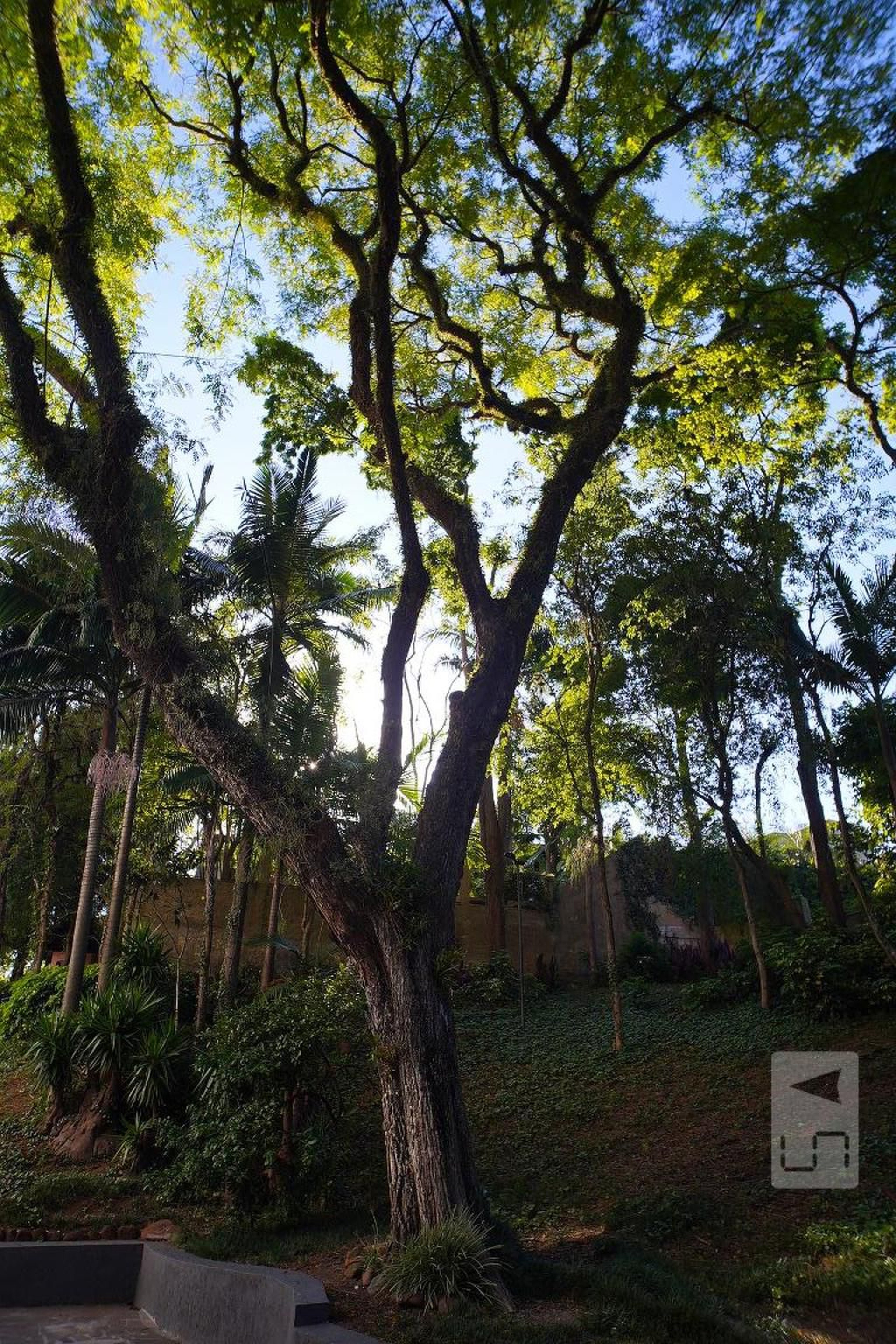 Area Comum - Parque Amazônia