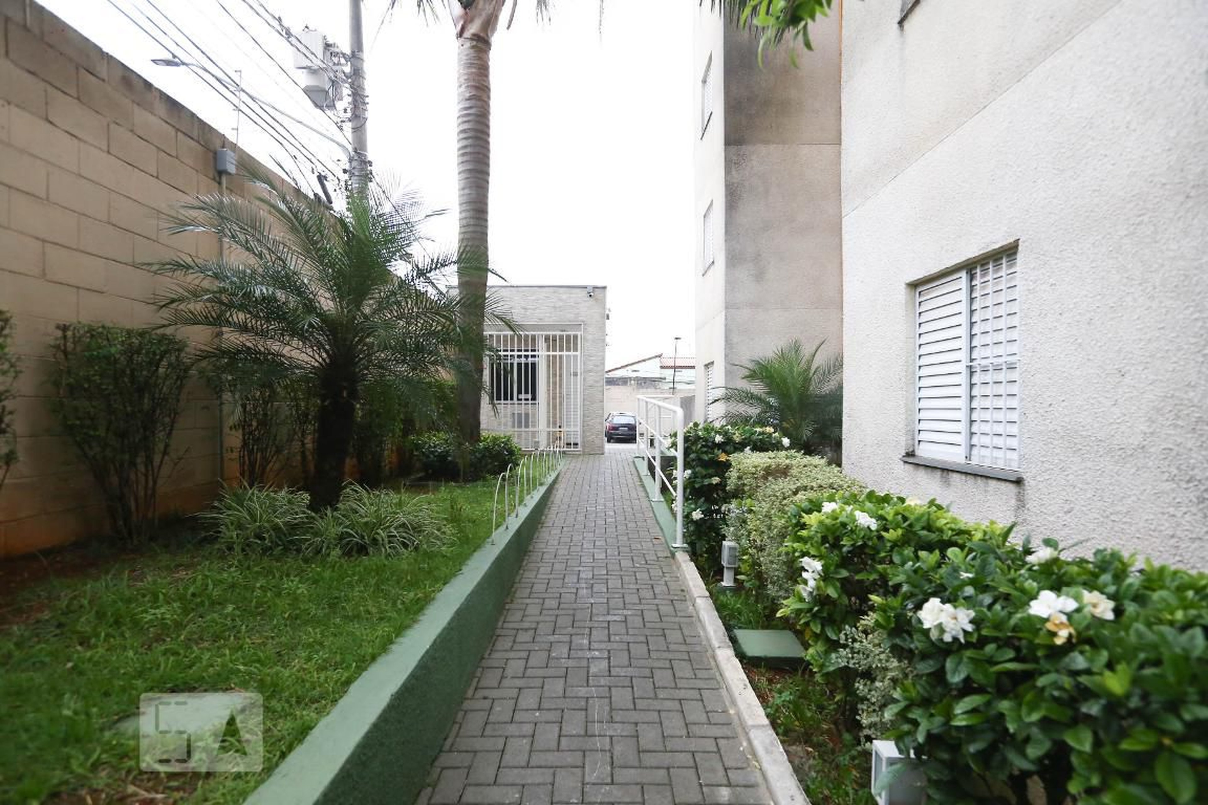 Entrada - Dez Curuçá