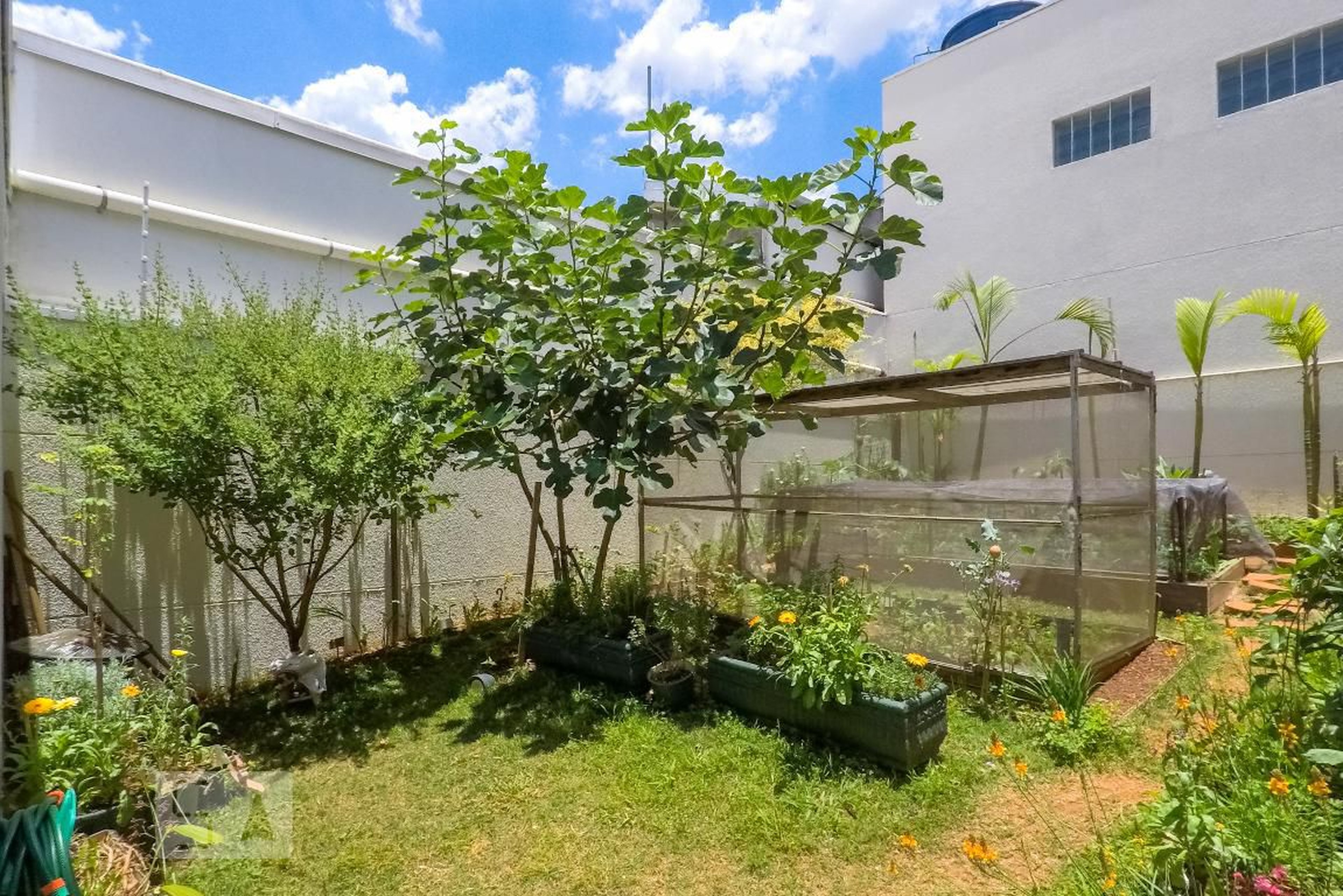 Área Externa - Lino 1940