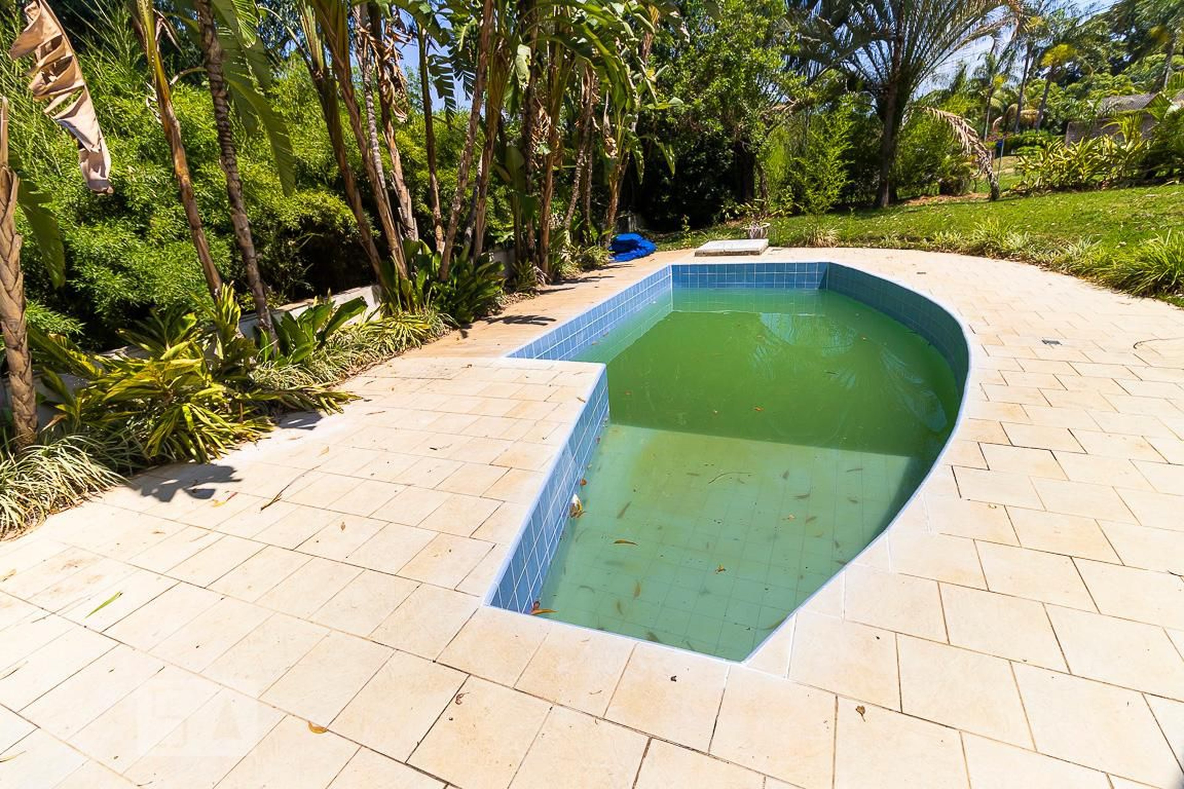 Piscina - Alphaville