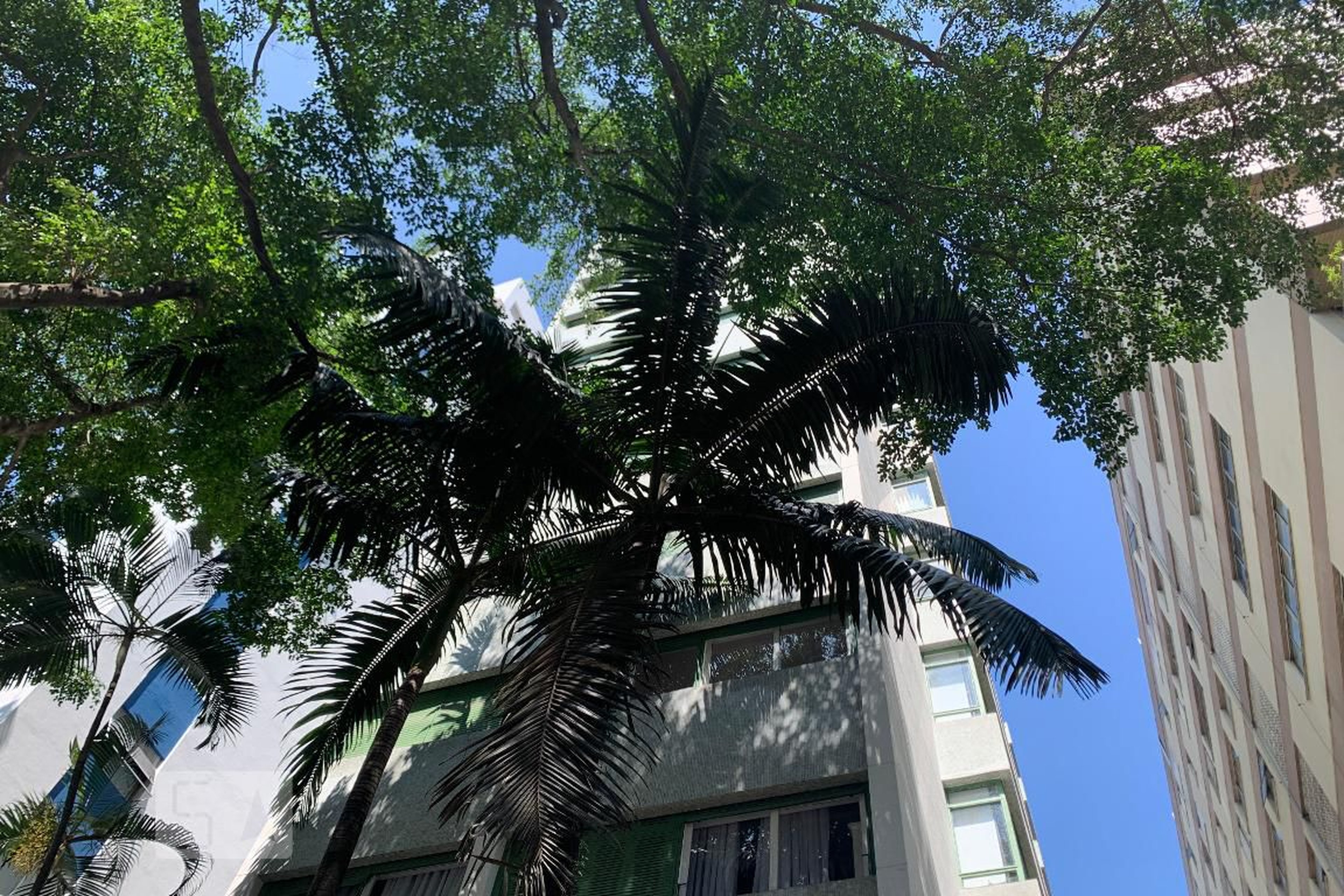 Fachada do Prédio Edifício Rio