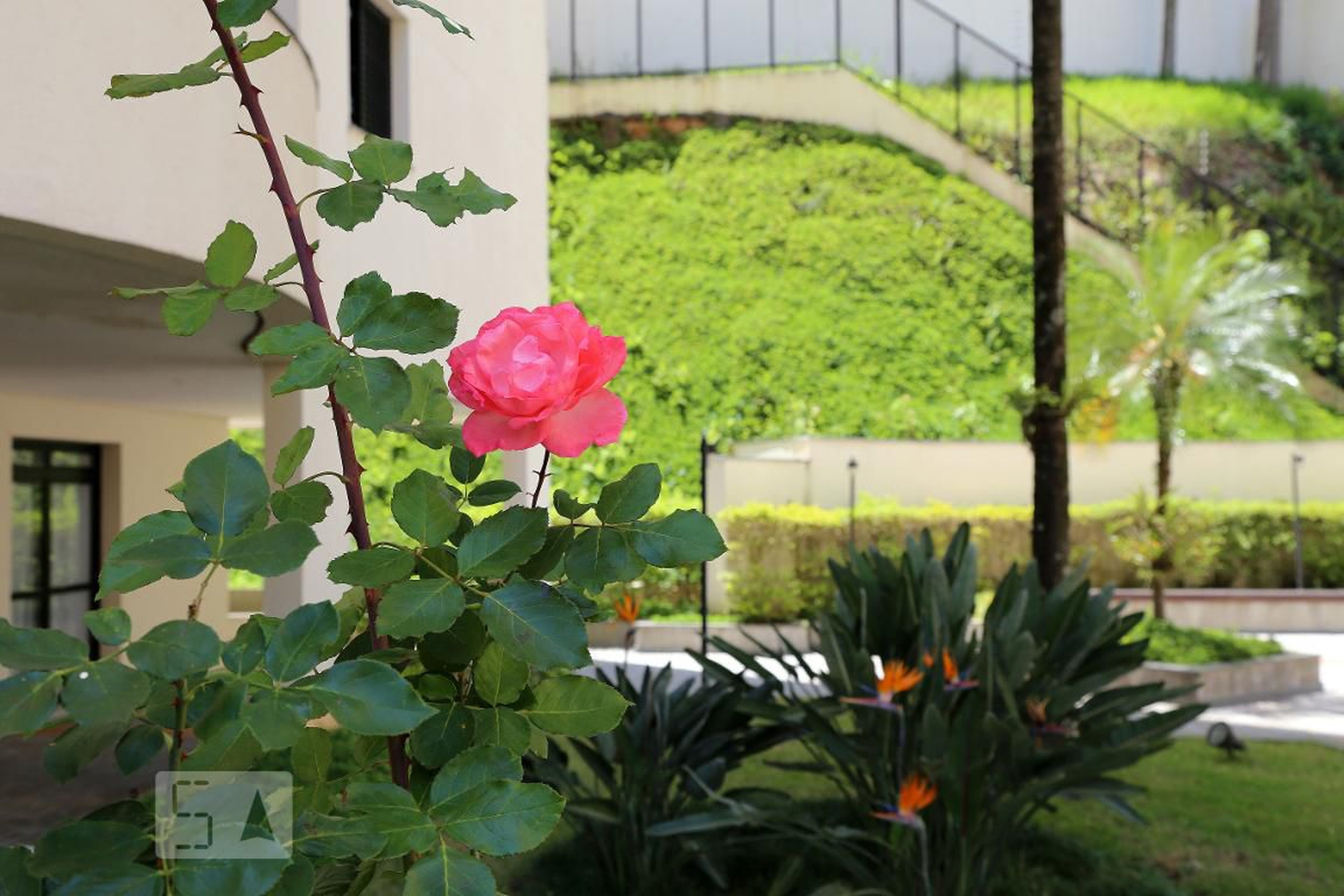 Área Externa - Nash Ville e Louis Ville