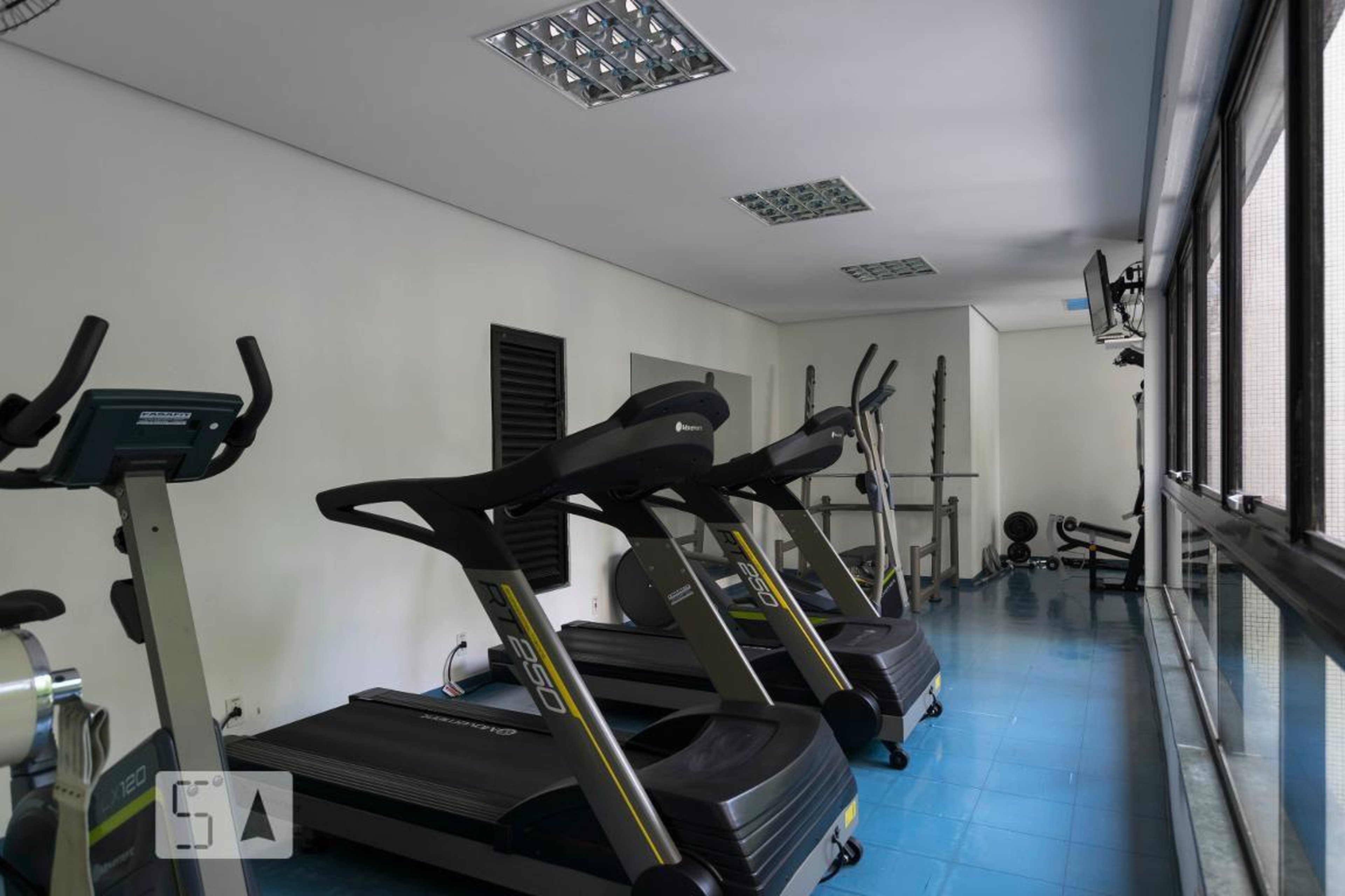 Academia - Lugarno Ibiza