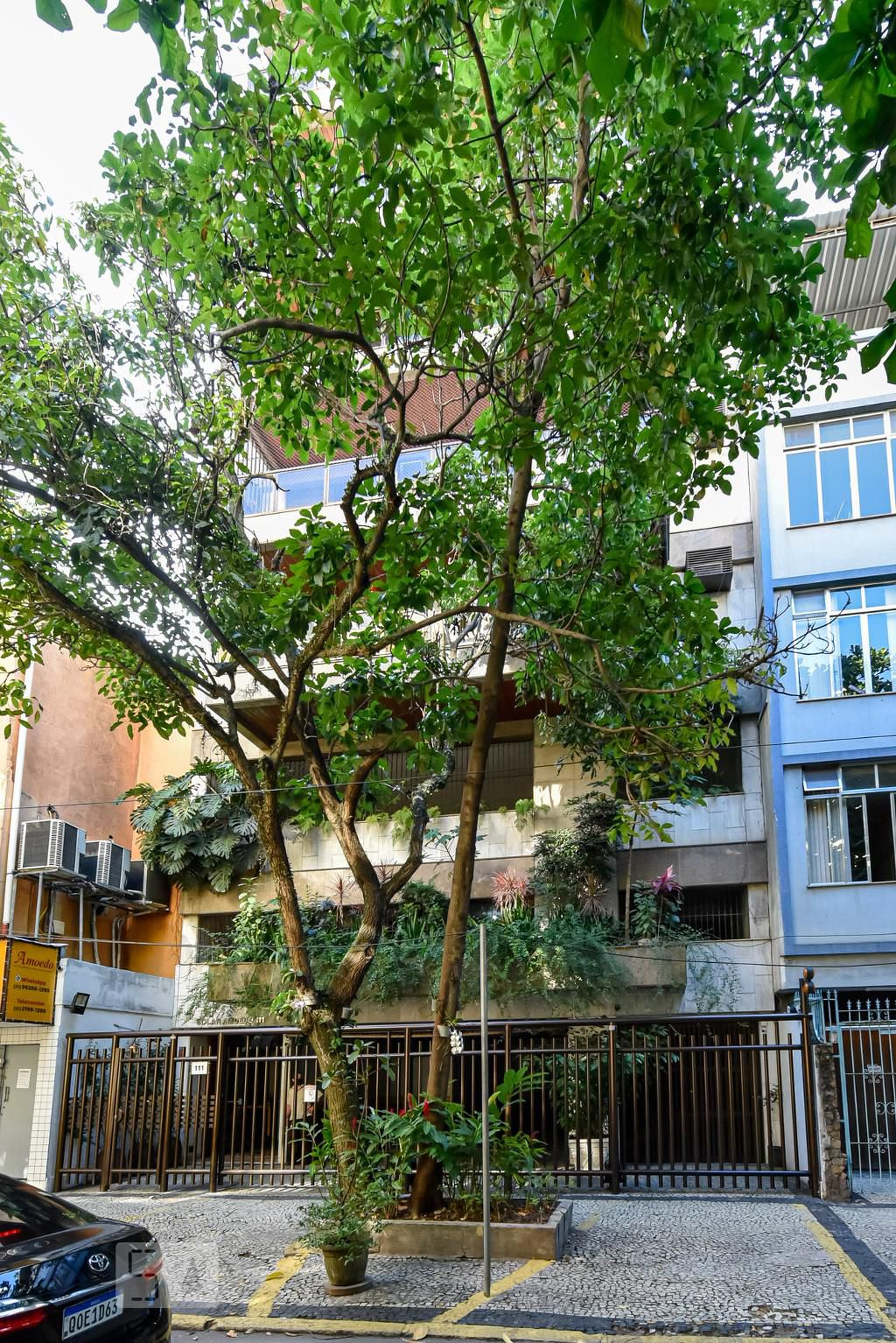 Fachada Edificio Solar Amoedo