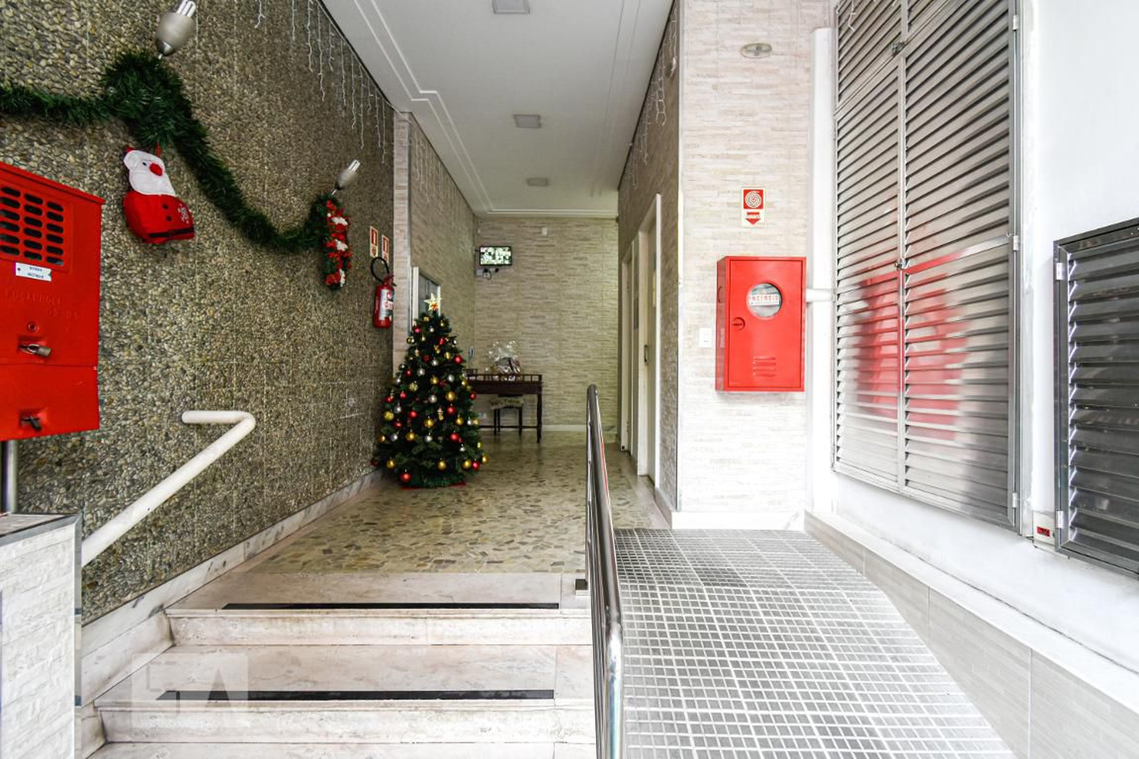 Hall Social - Elizabeth