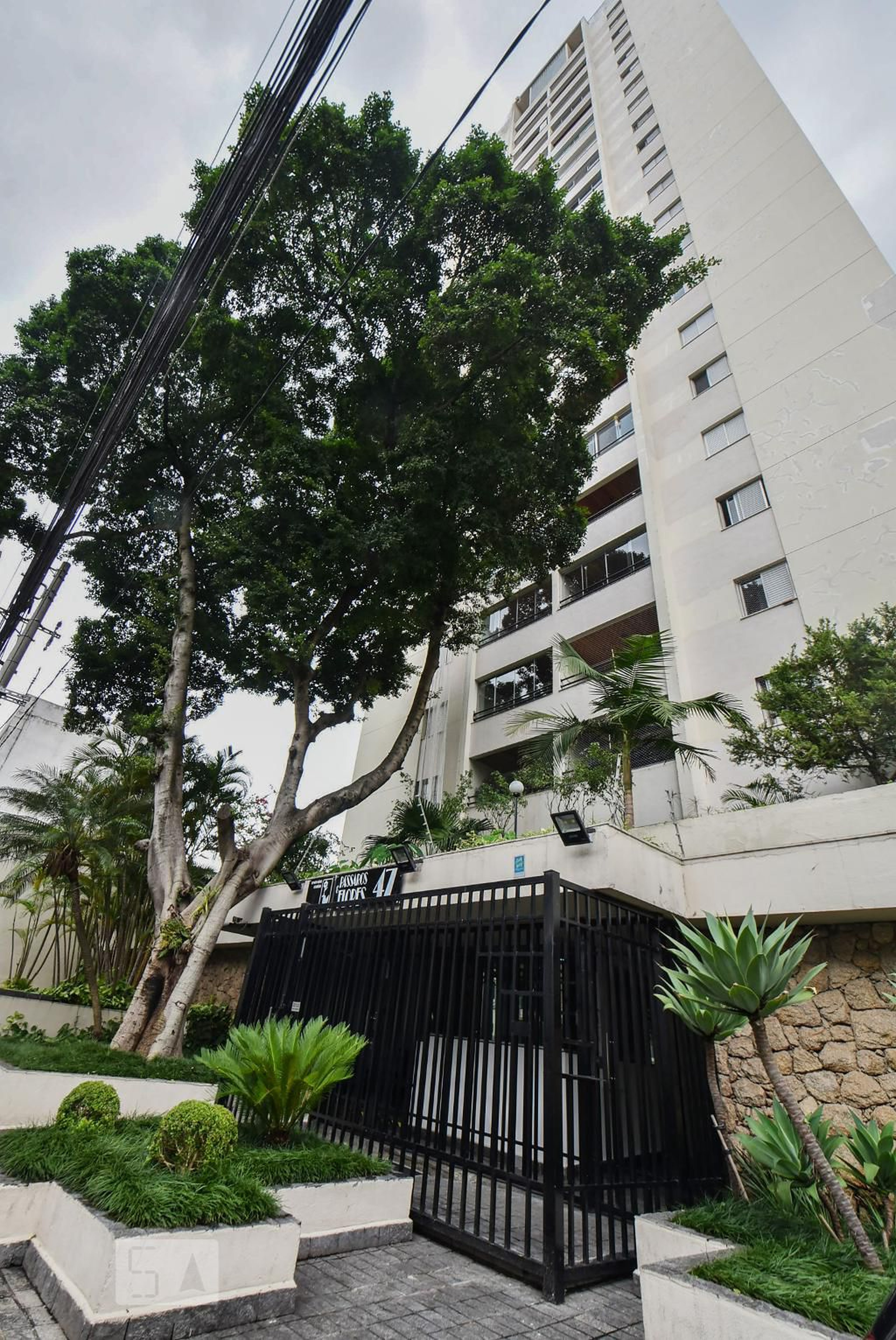 Prédio Edifício Pássaros Flores