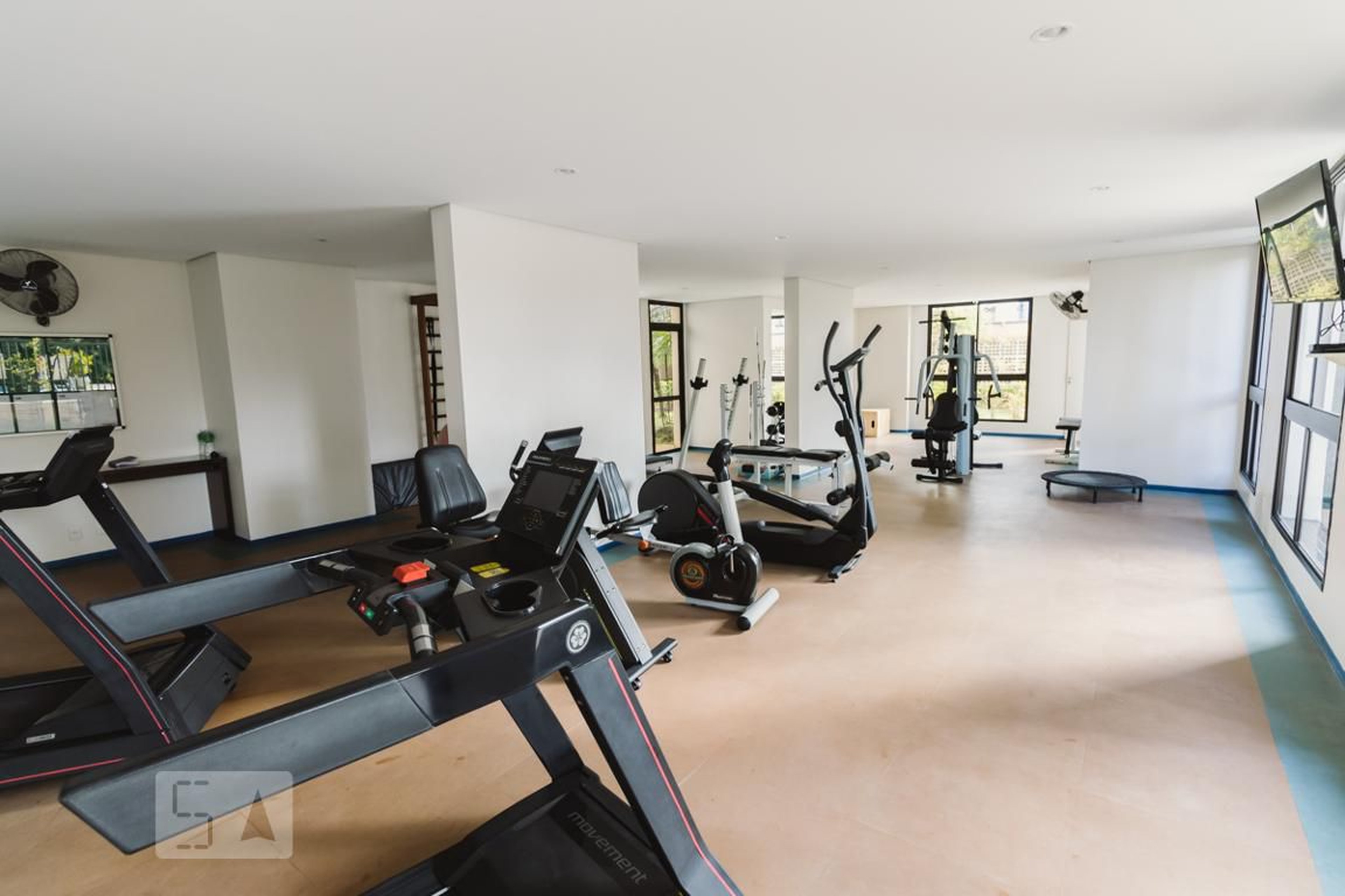 Academia - Princeton