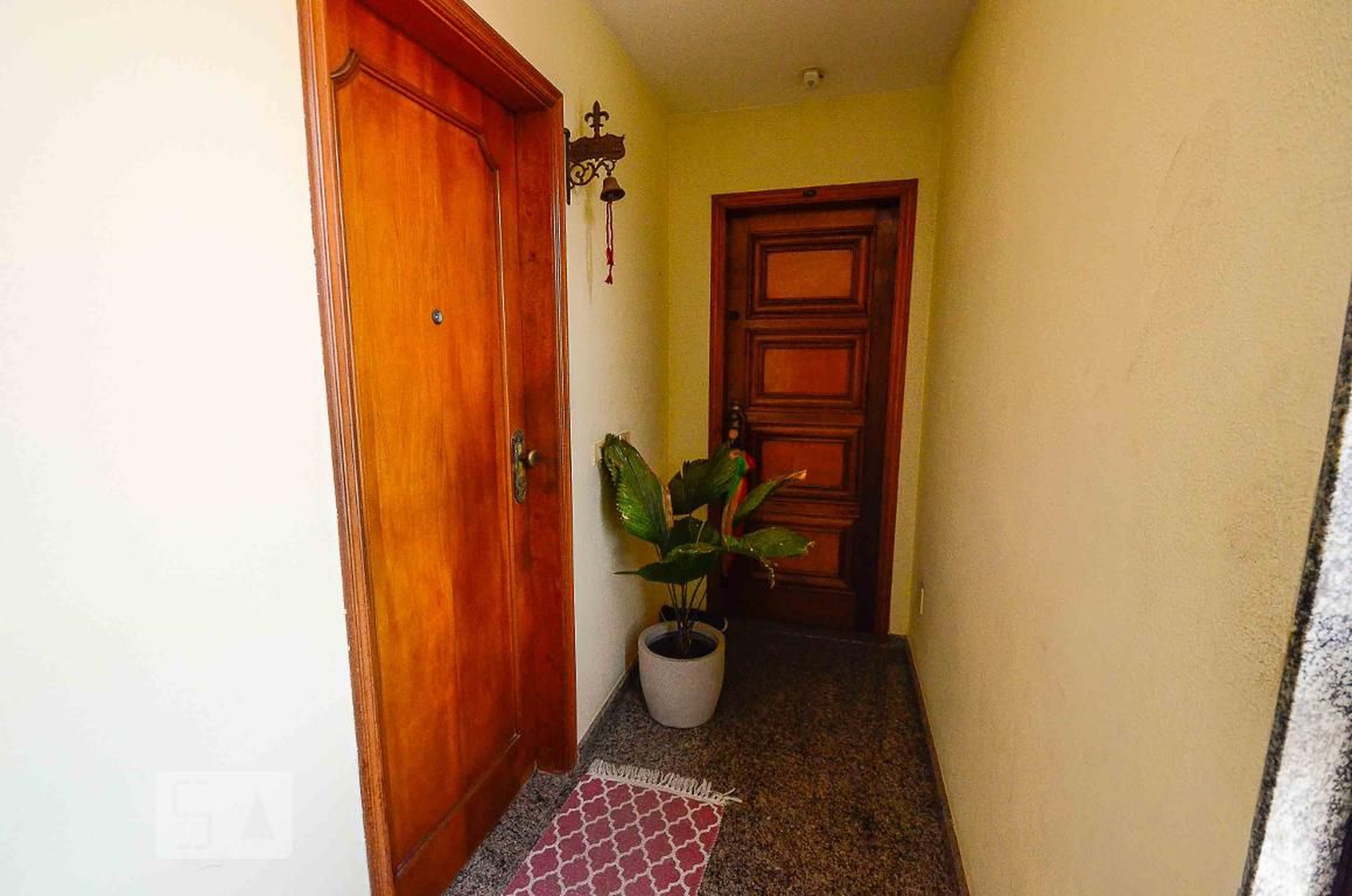 Entrada - Isla Morada