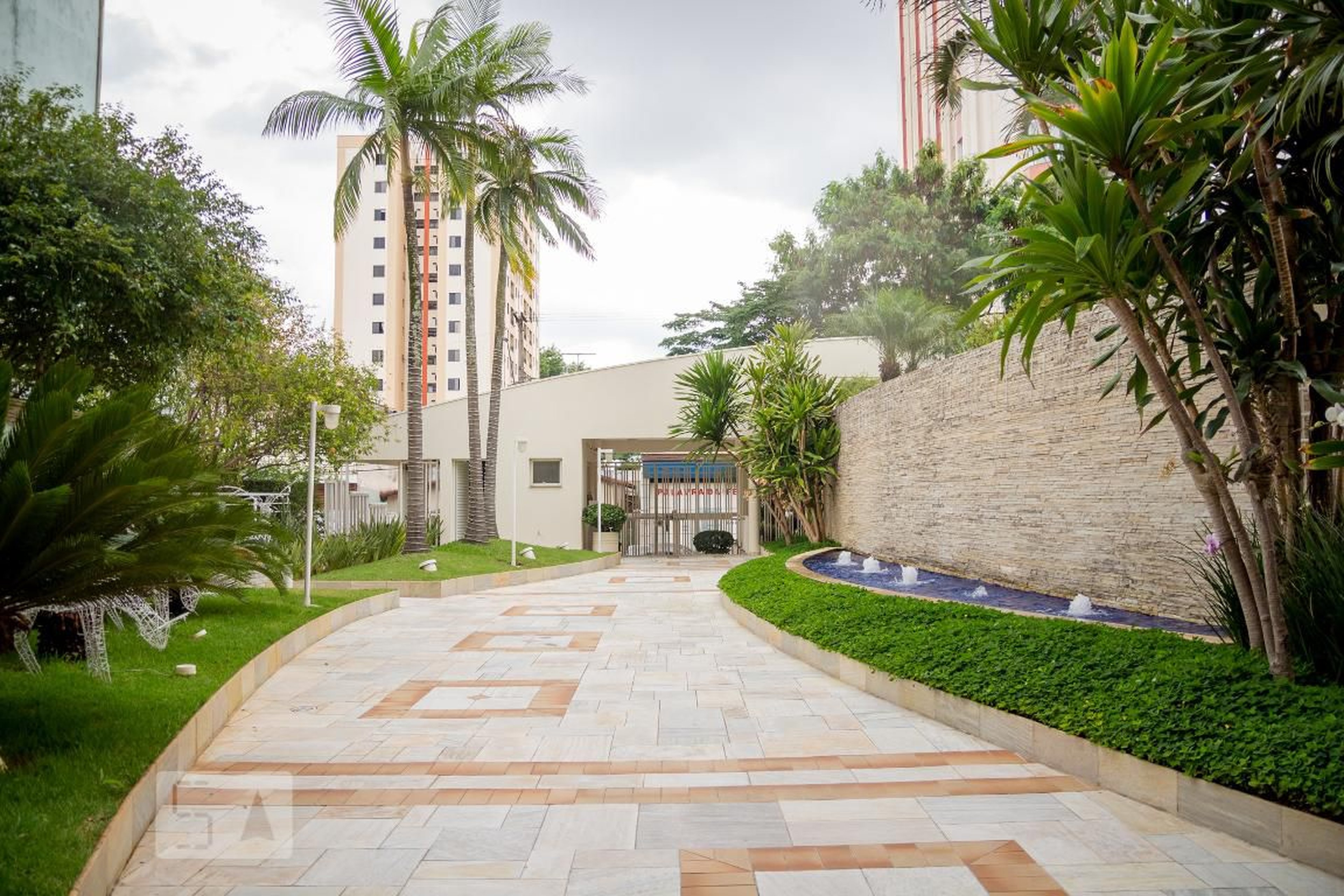 Entrada - Spazio Allegro