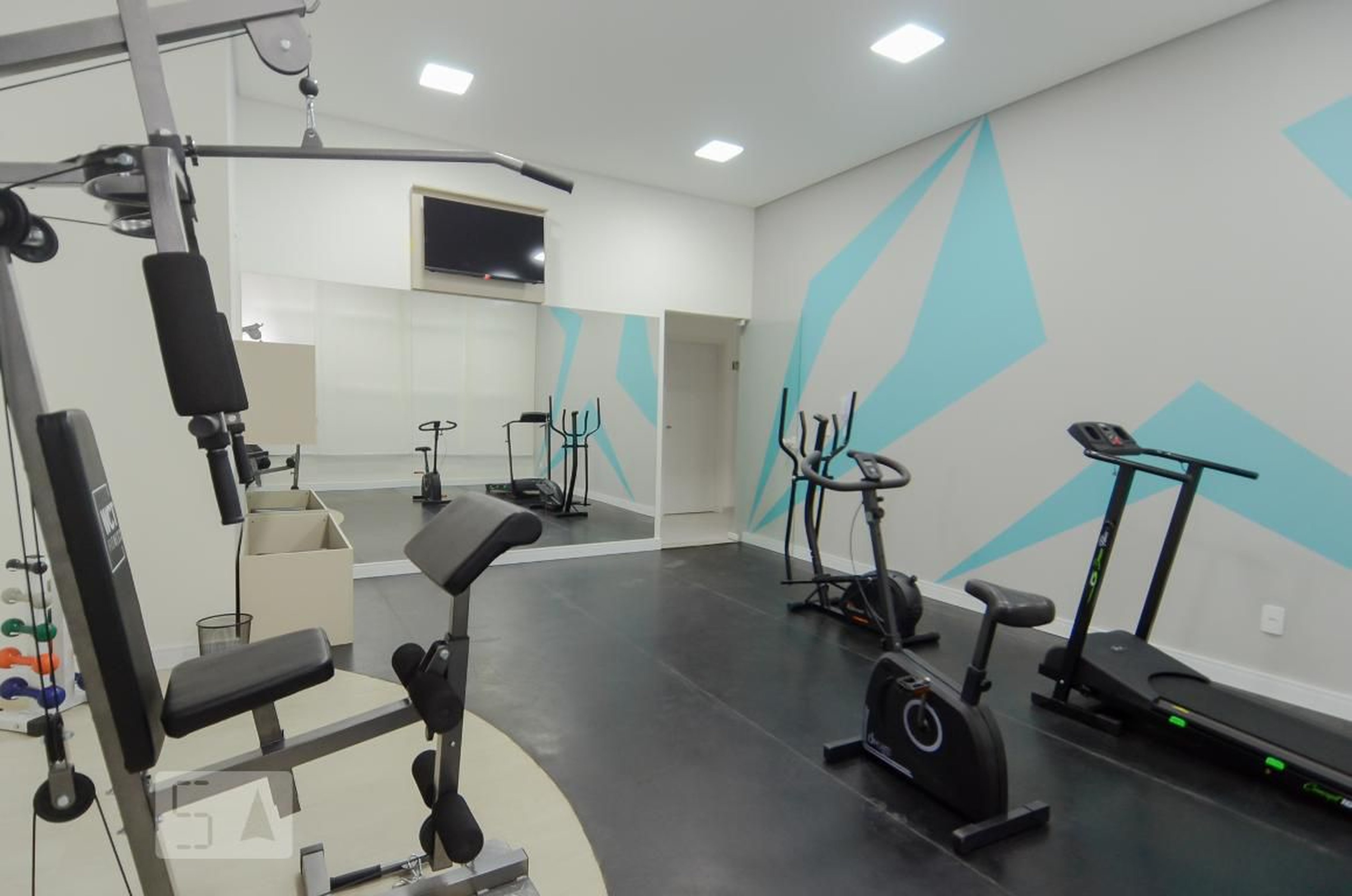 Academia - Concept Vivacqua