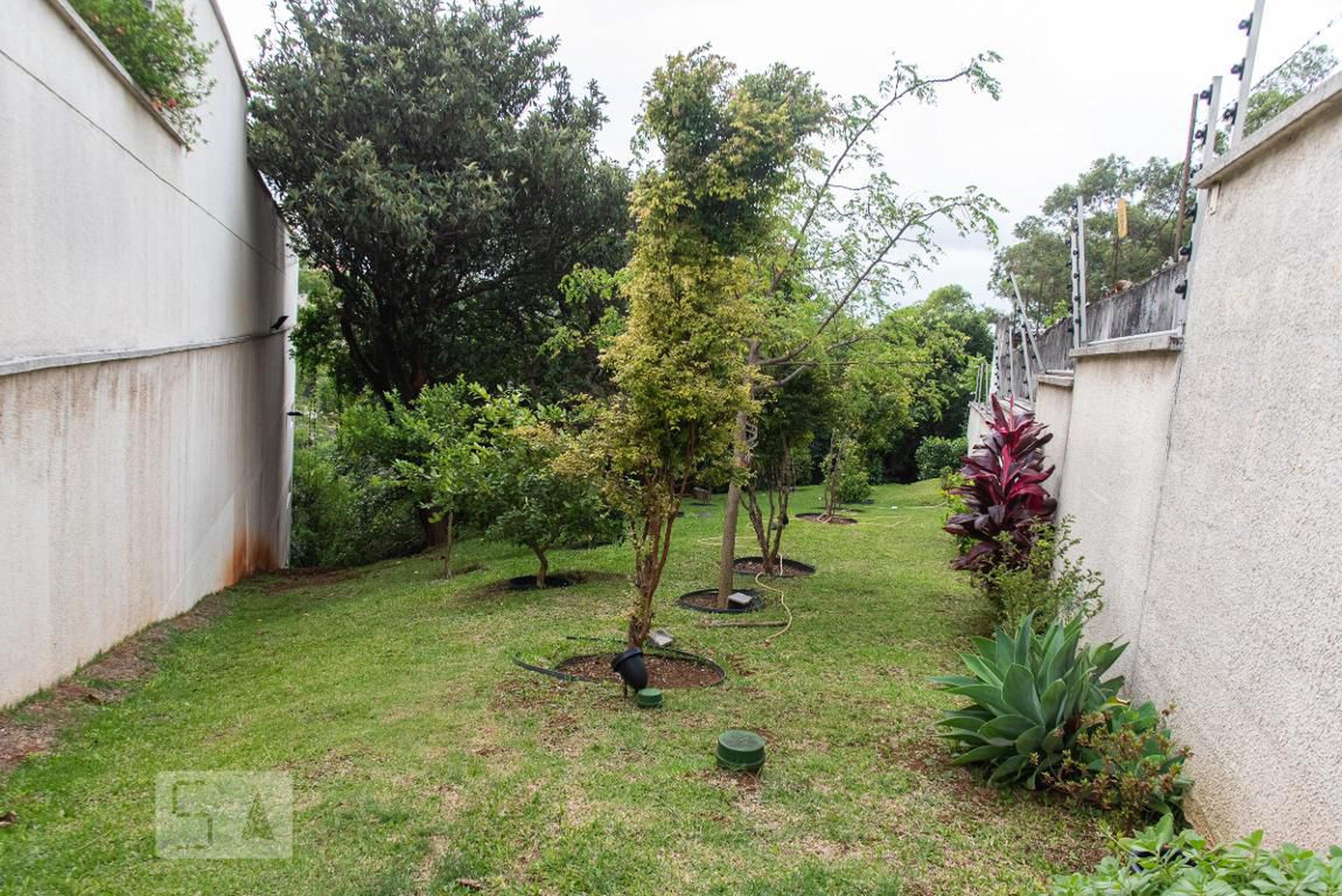 Espaço pet - Privilége Parque da Aclimação