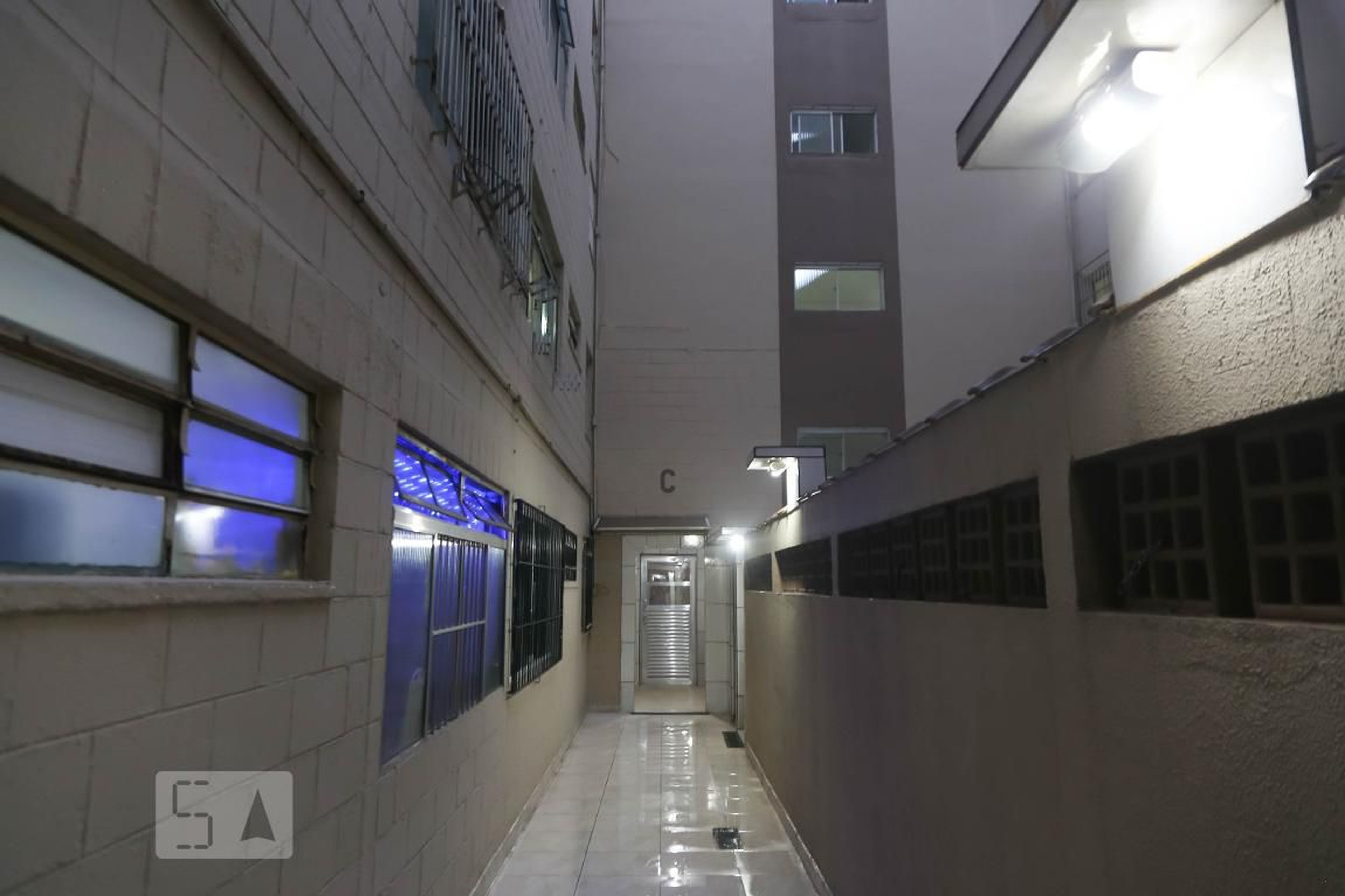 Entrada - Bromélias II