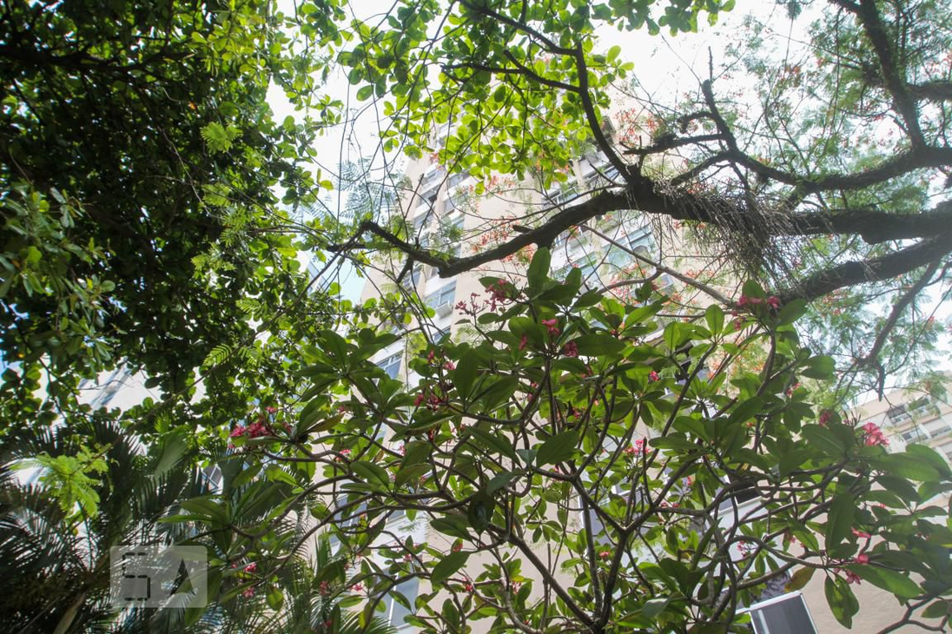 Fachada do Prédio Condomínio Selva de Pedra