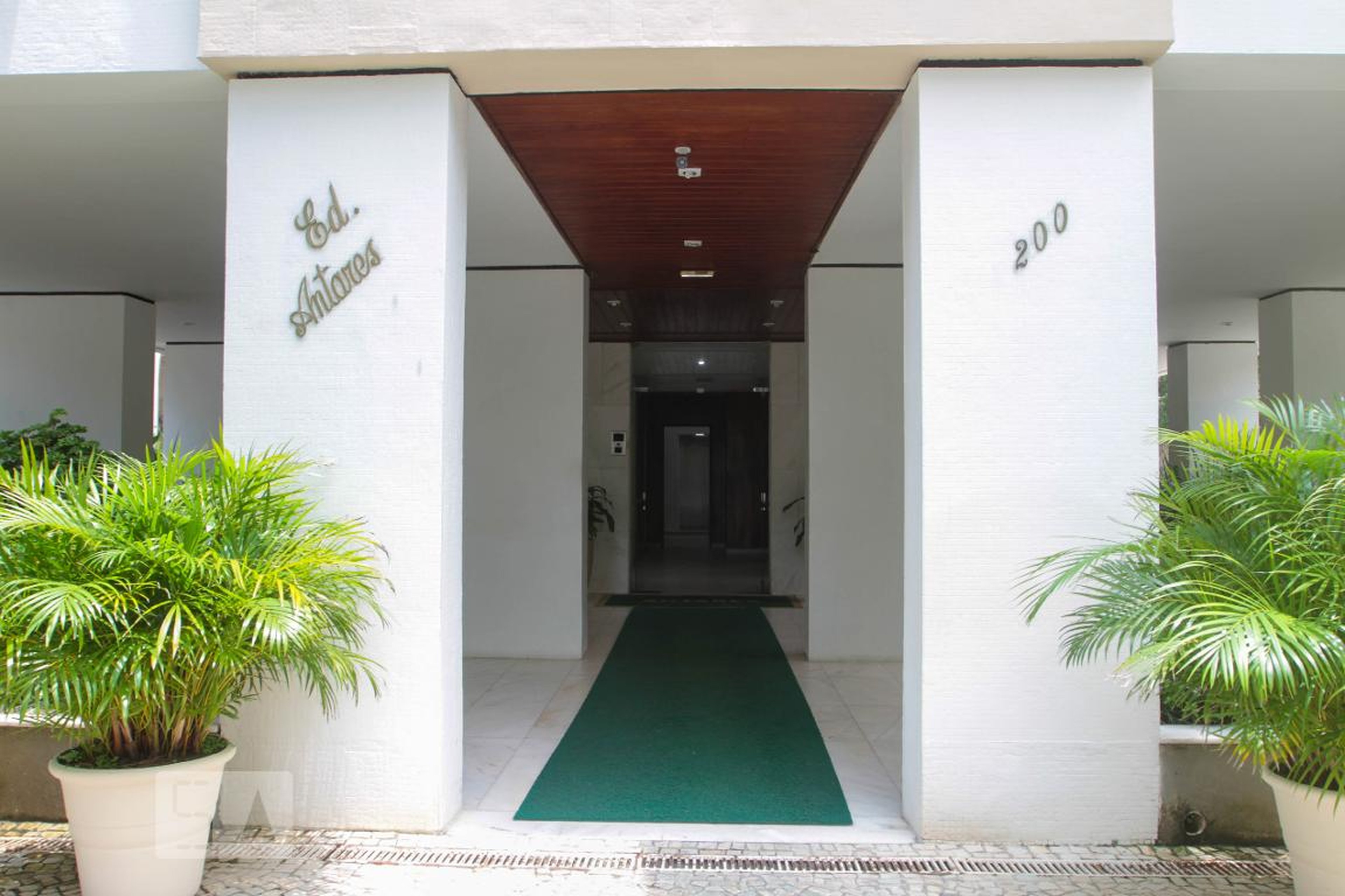 Entrada do Prédio - Selva de Pedra