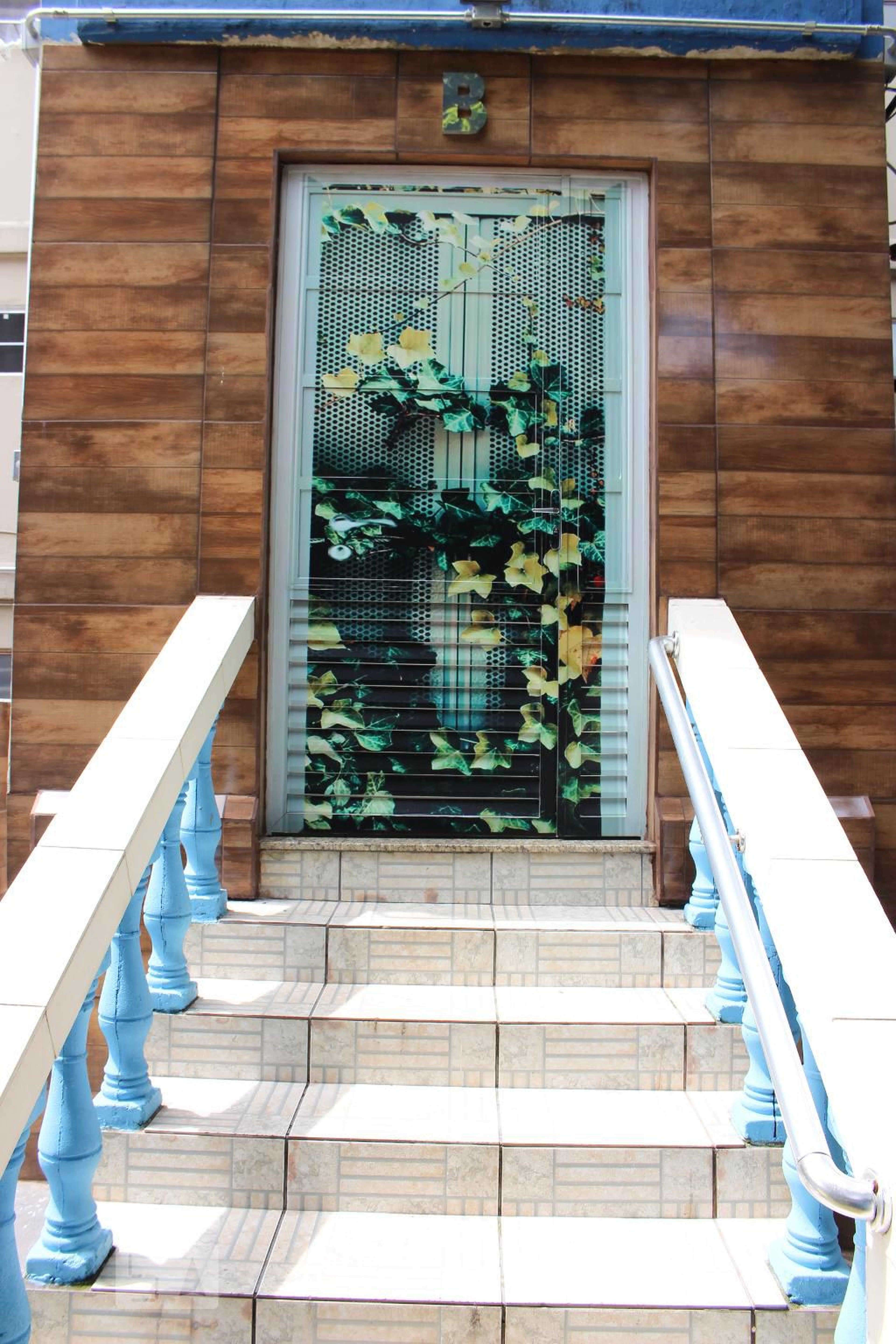 Entrada - Pelicanos II