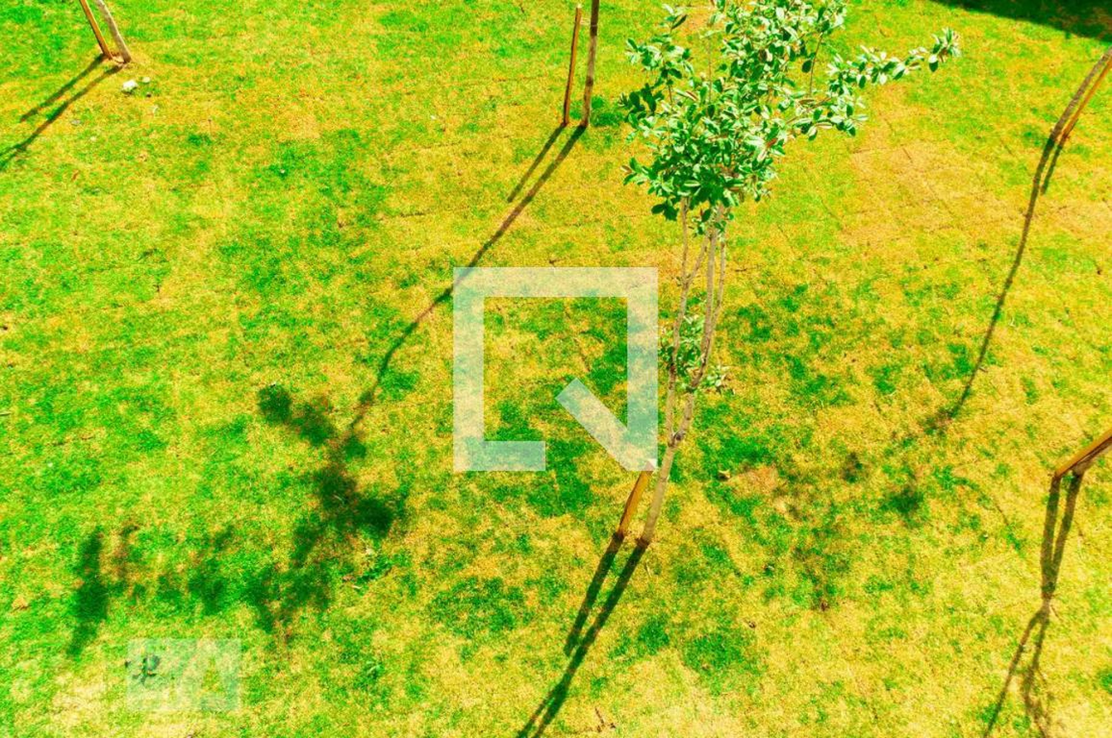 Espaço pet - Articon Due