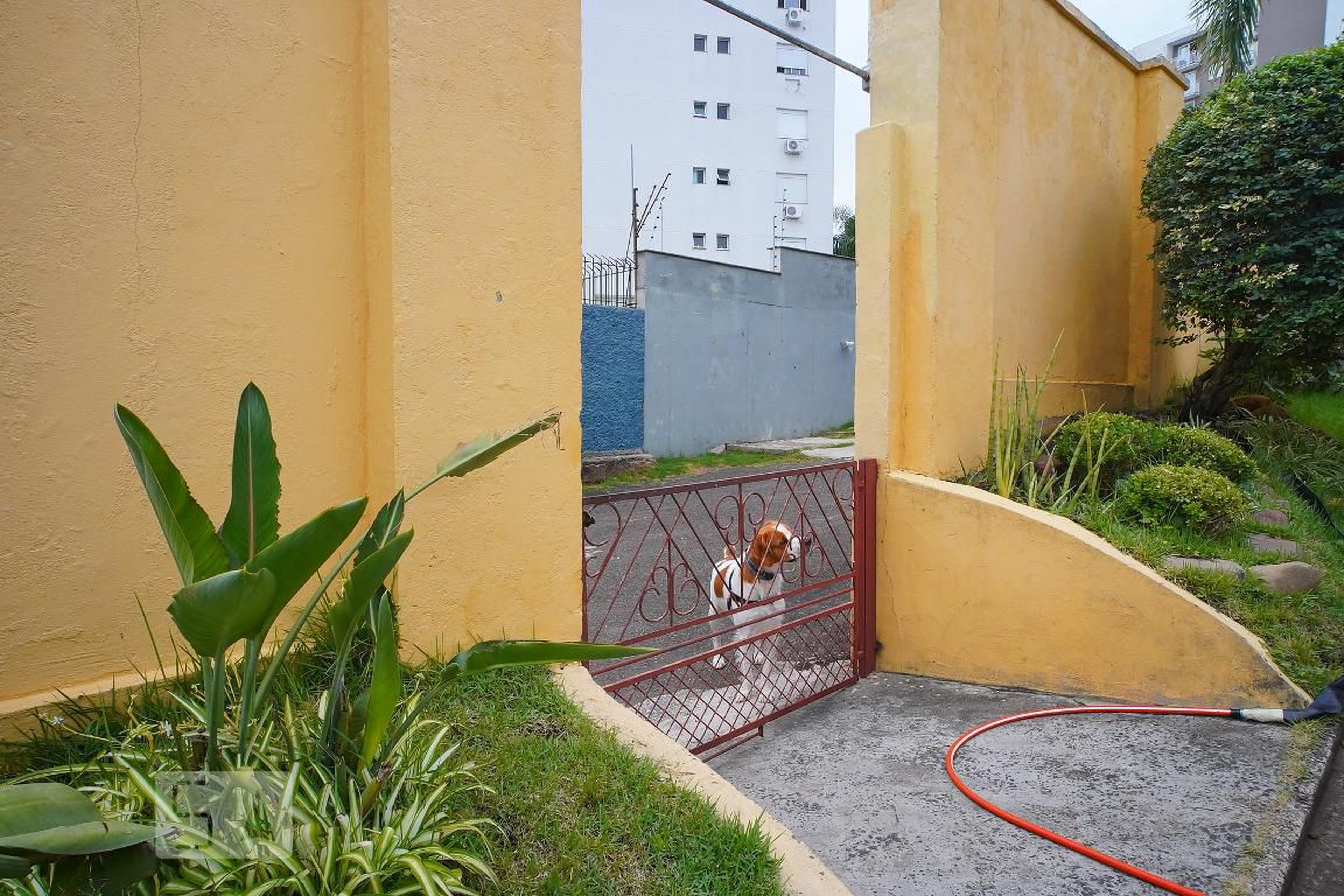 Espaço Pet - Villa Giardini