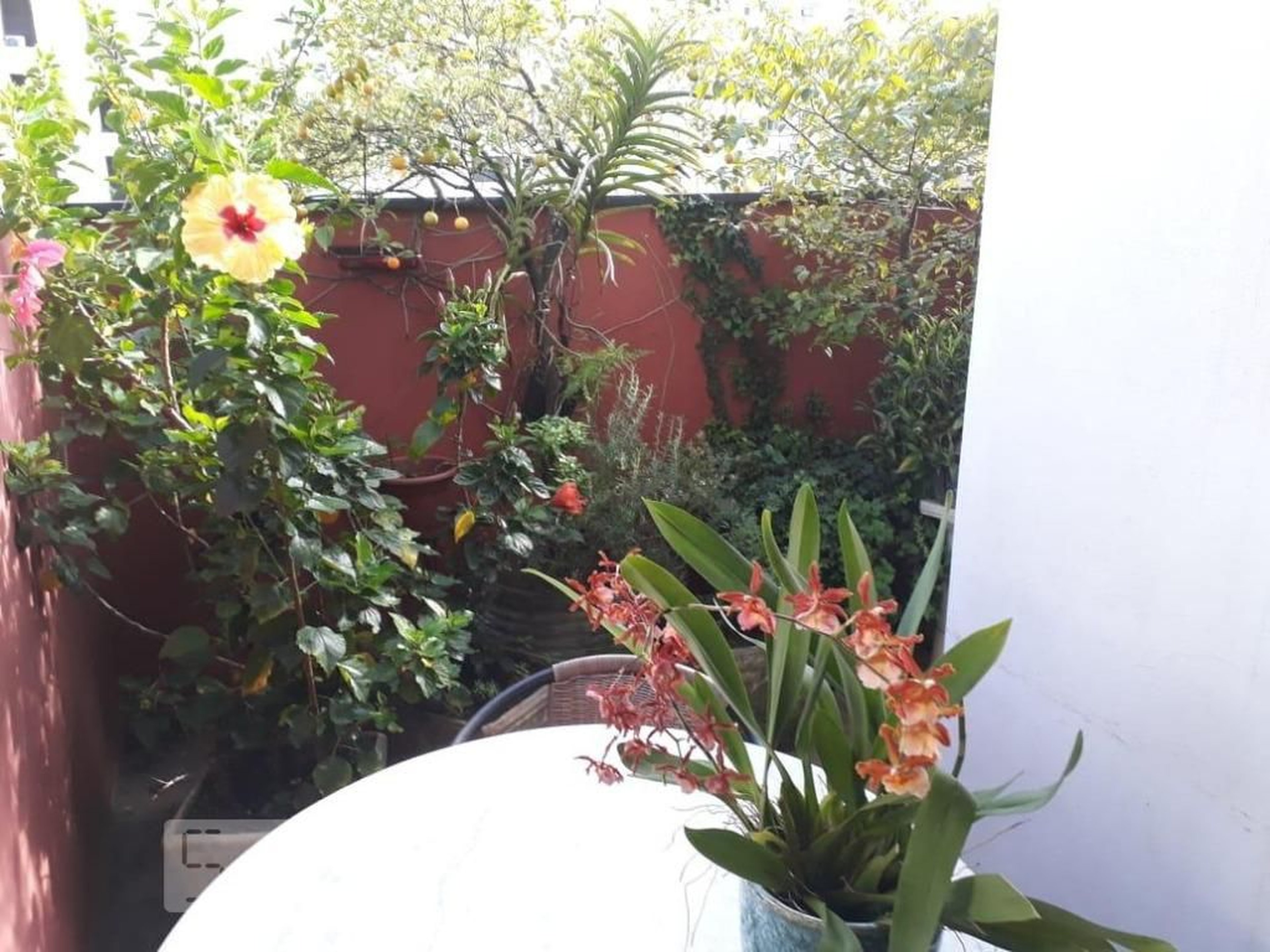 Área Externa - Saint Germain