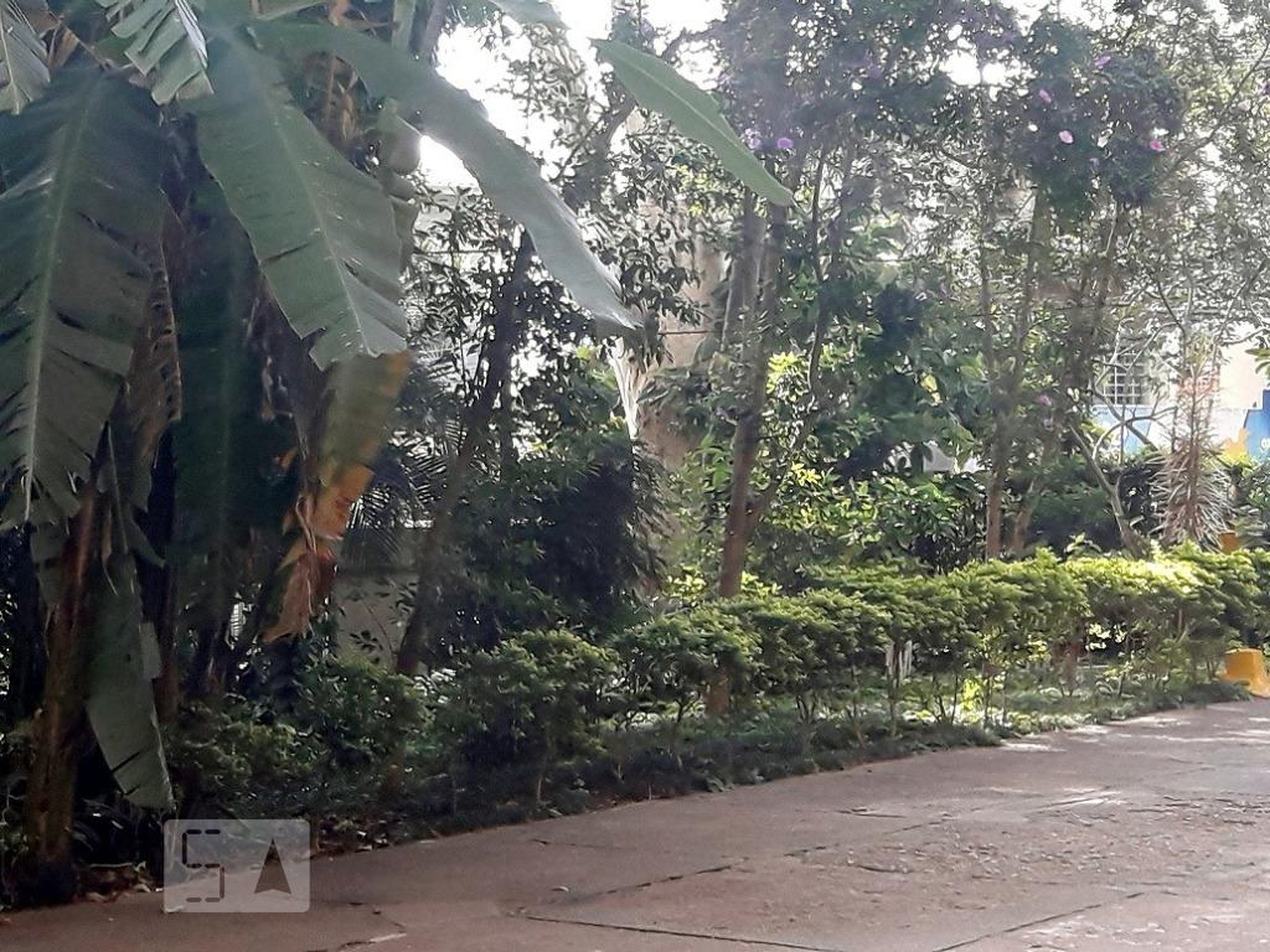 Área Externa - Edifício Gregório Serrão IV