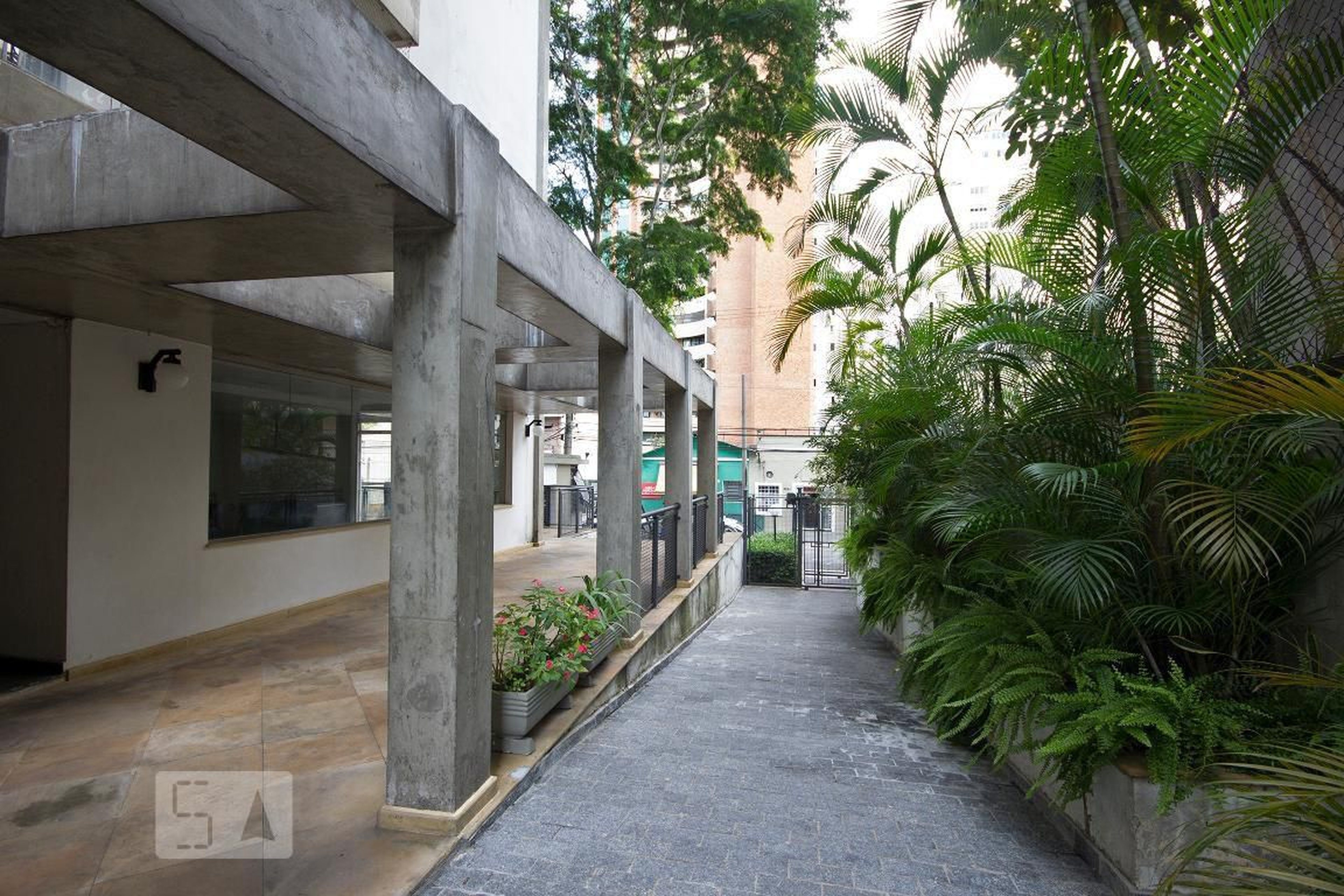 Entrada - Sierra Blanca