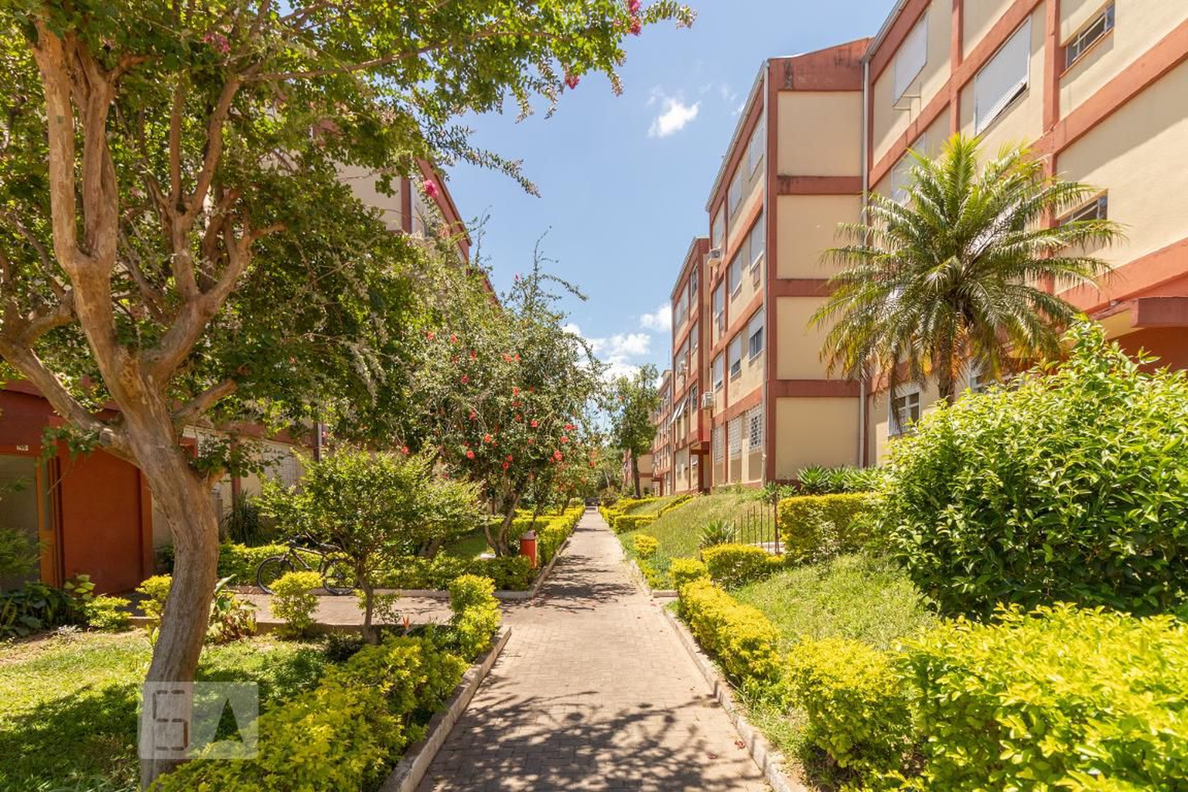 Área Externa - Pereira Neto