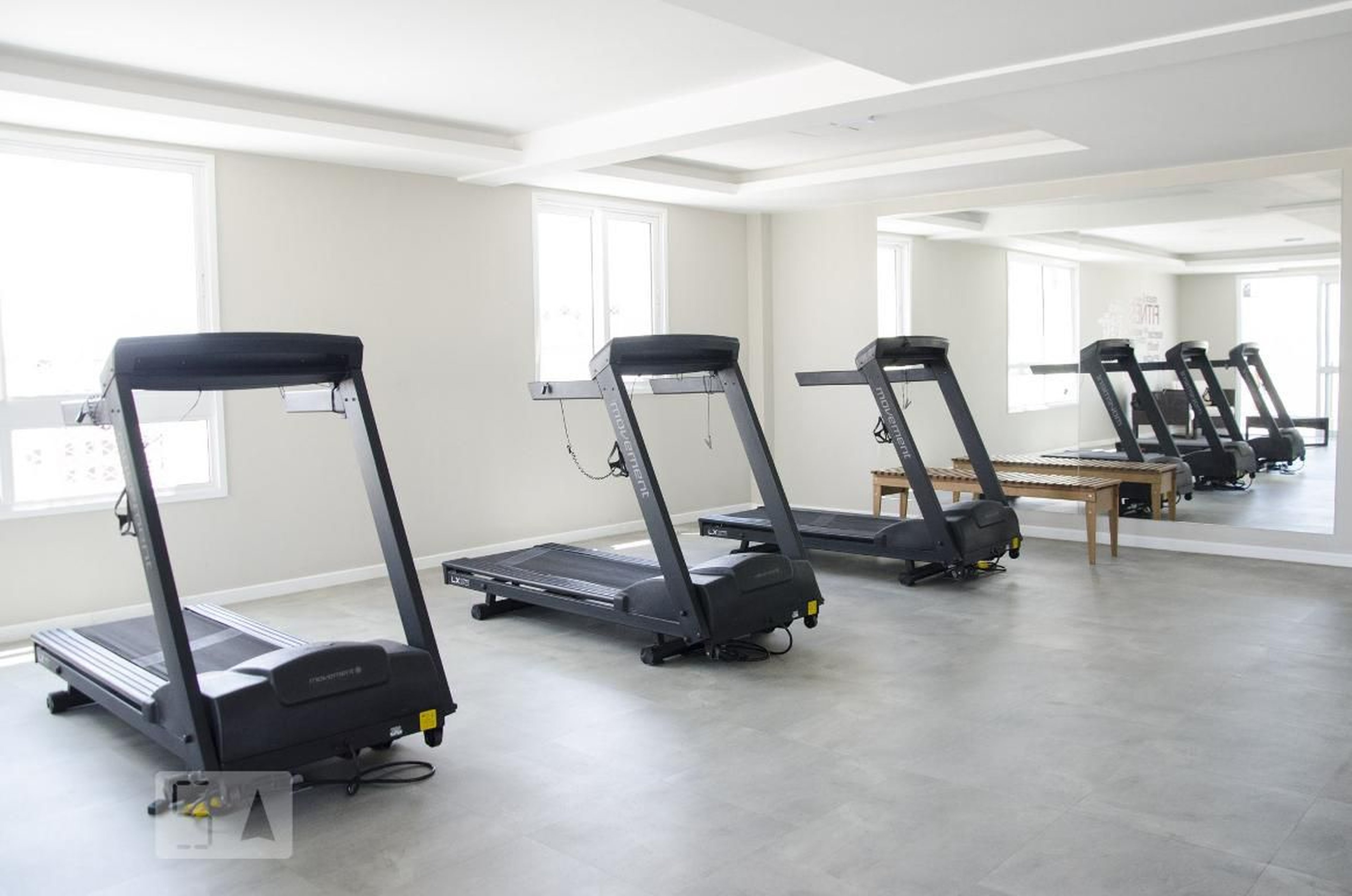 Academia - Life Park Colors