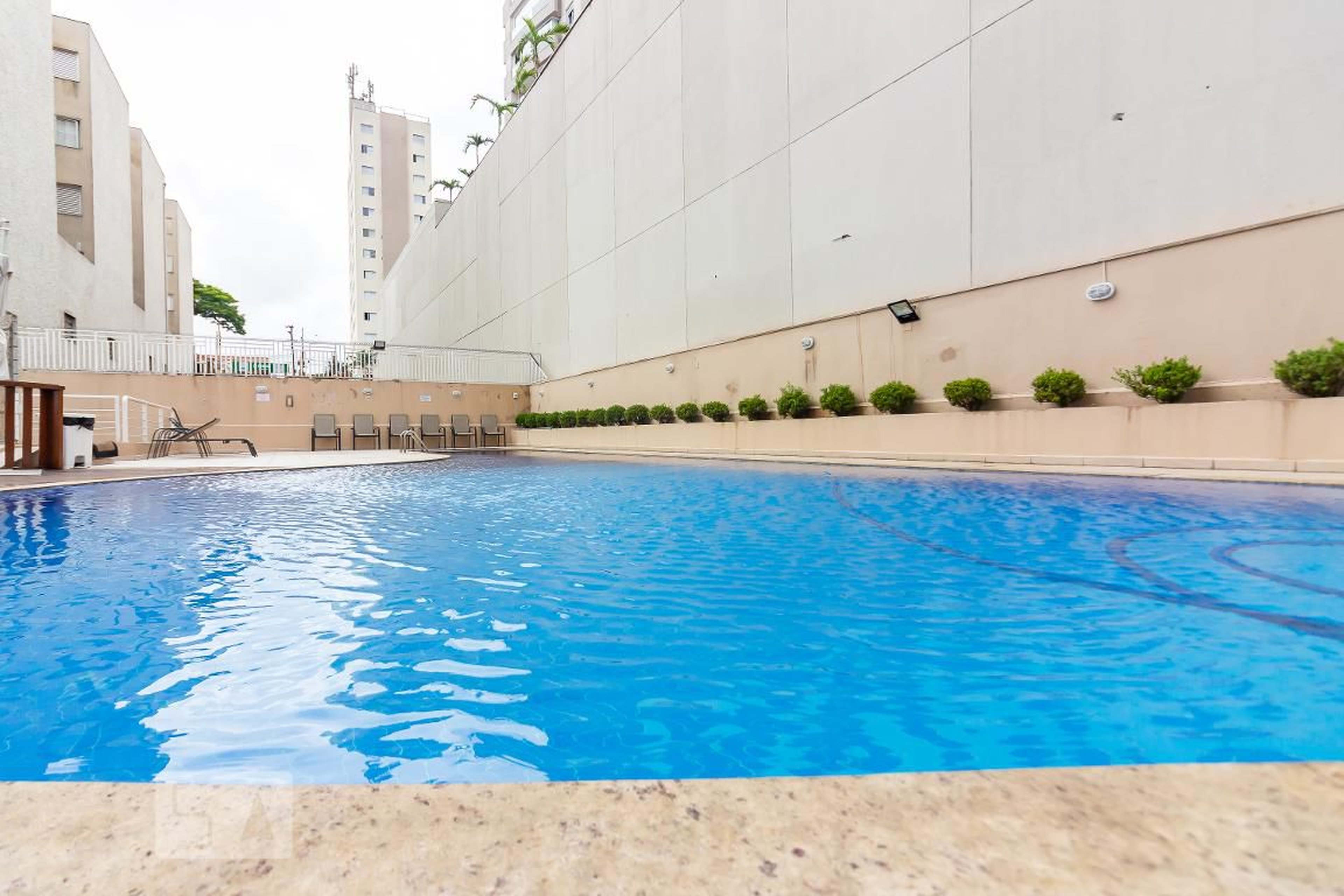 Piscina - Belas Artes