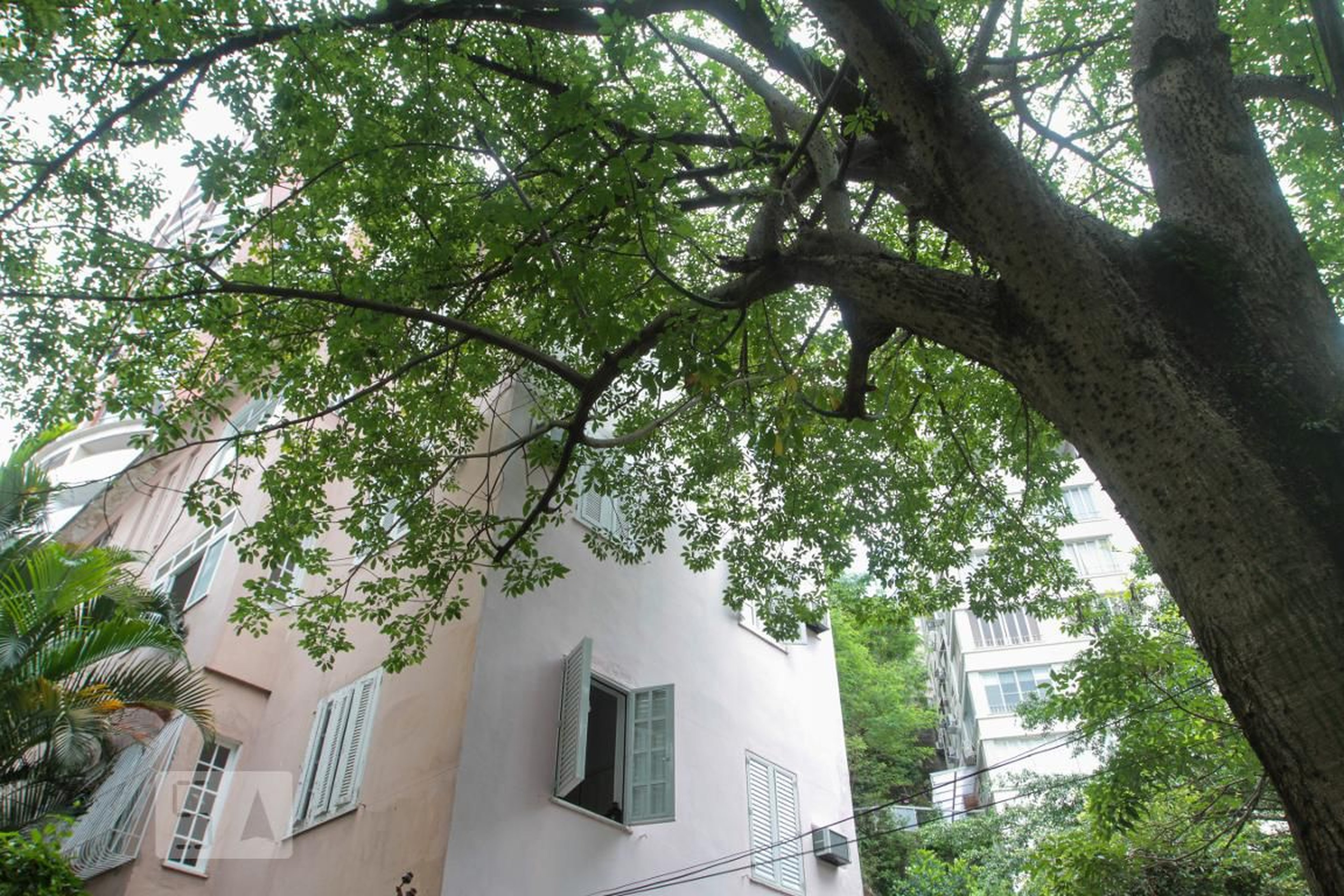 Fachada do Prédio Edifício Professor Saldanha