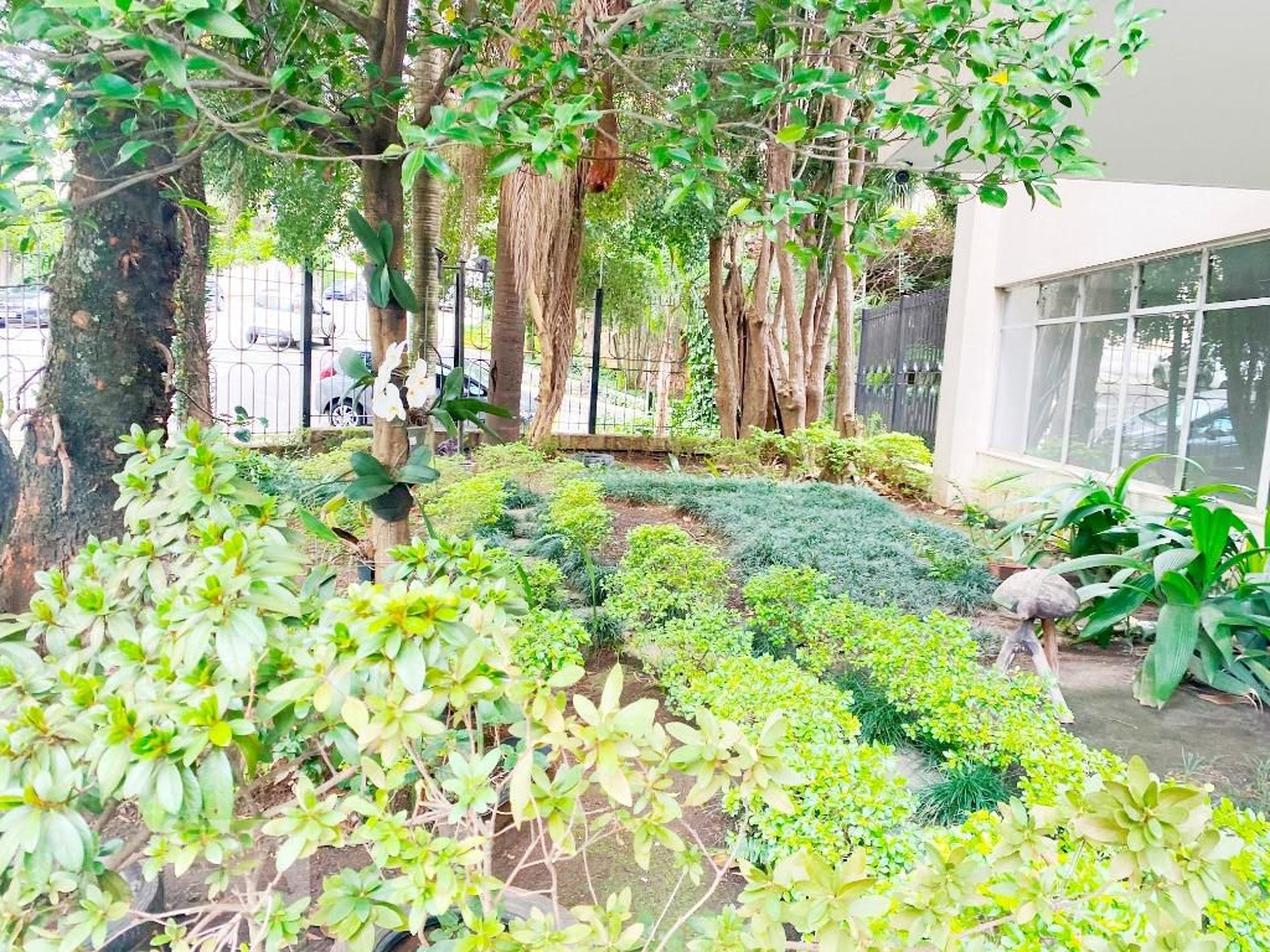 Área Externa - Edifício Jardim Vila Mariana