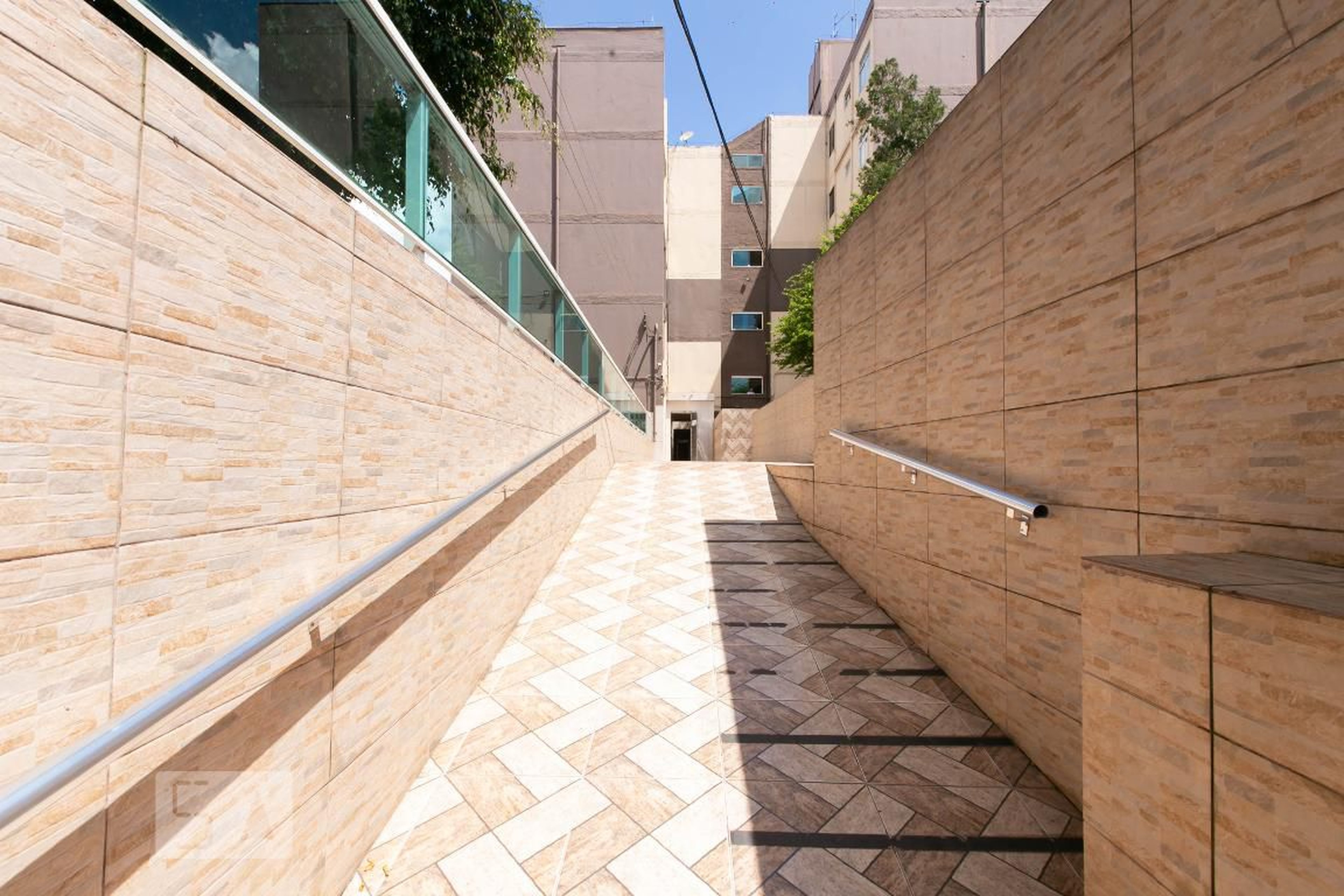 Entrada - Violetas I