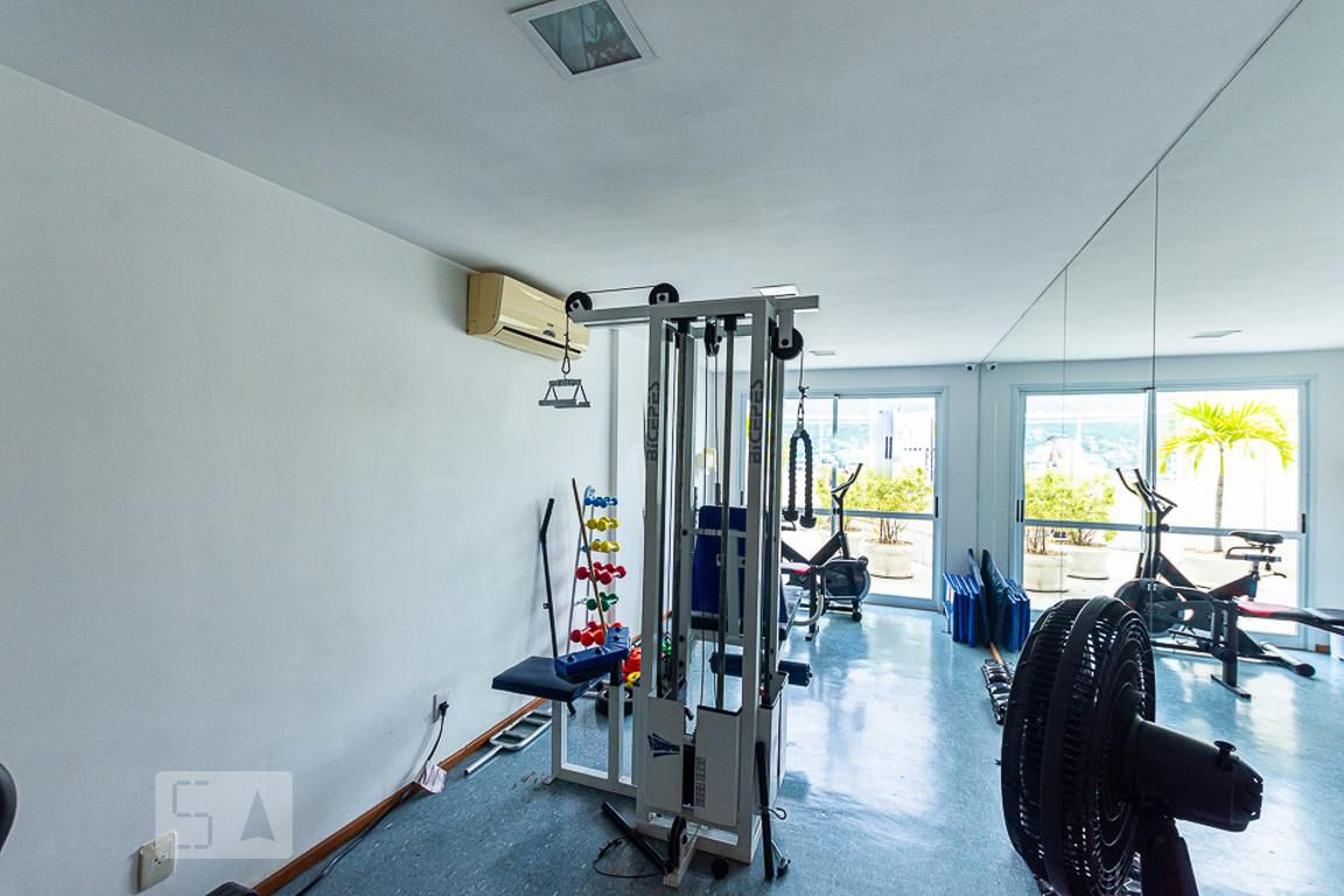 Academia - Strelitzia Bianca