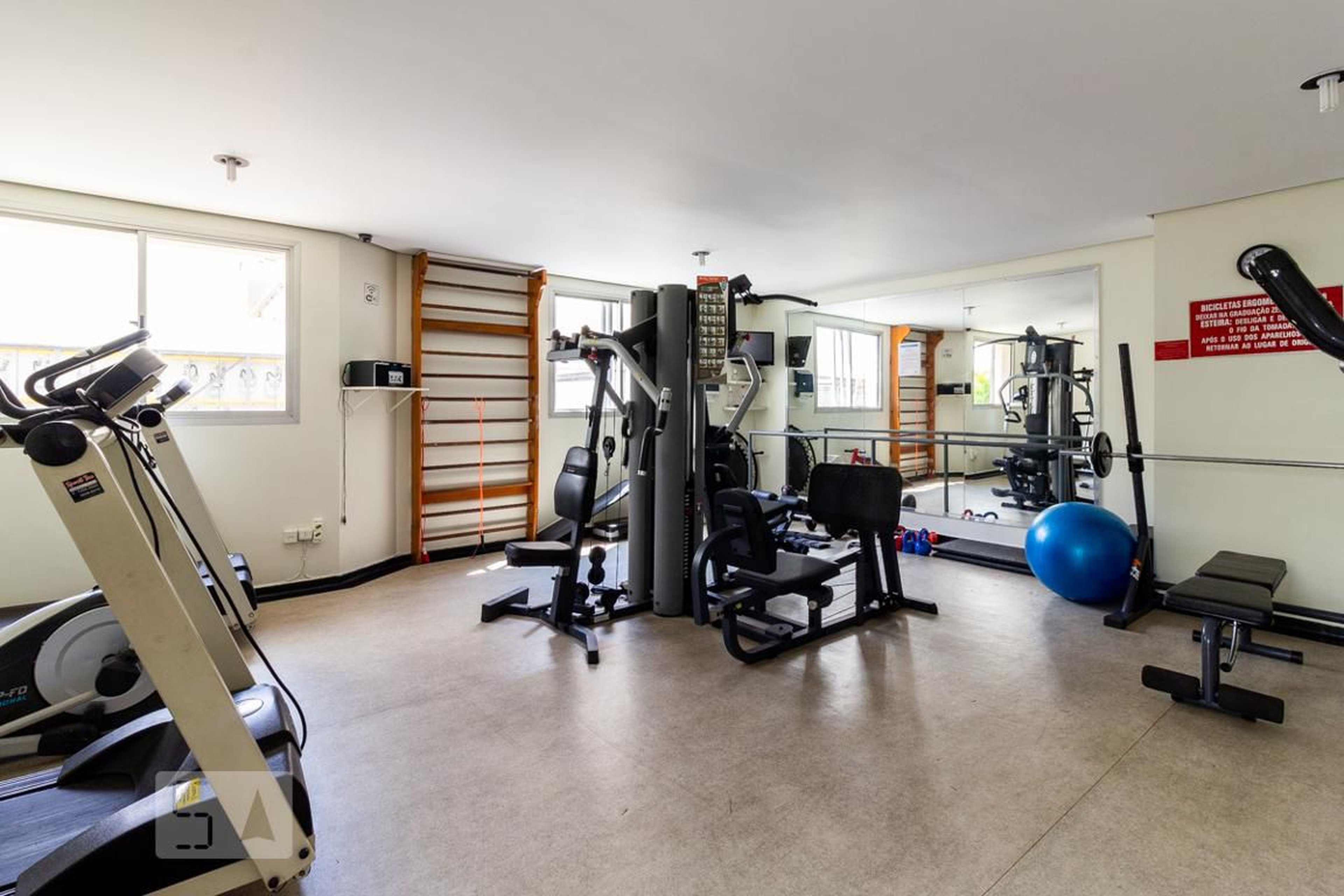 Academia - Grace Moema