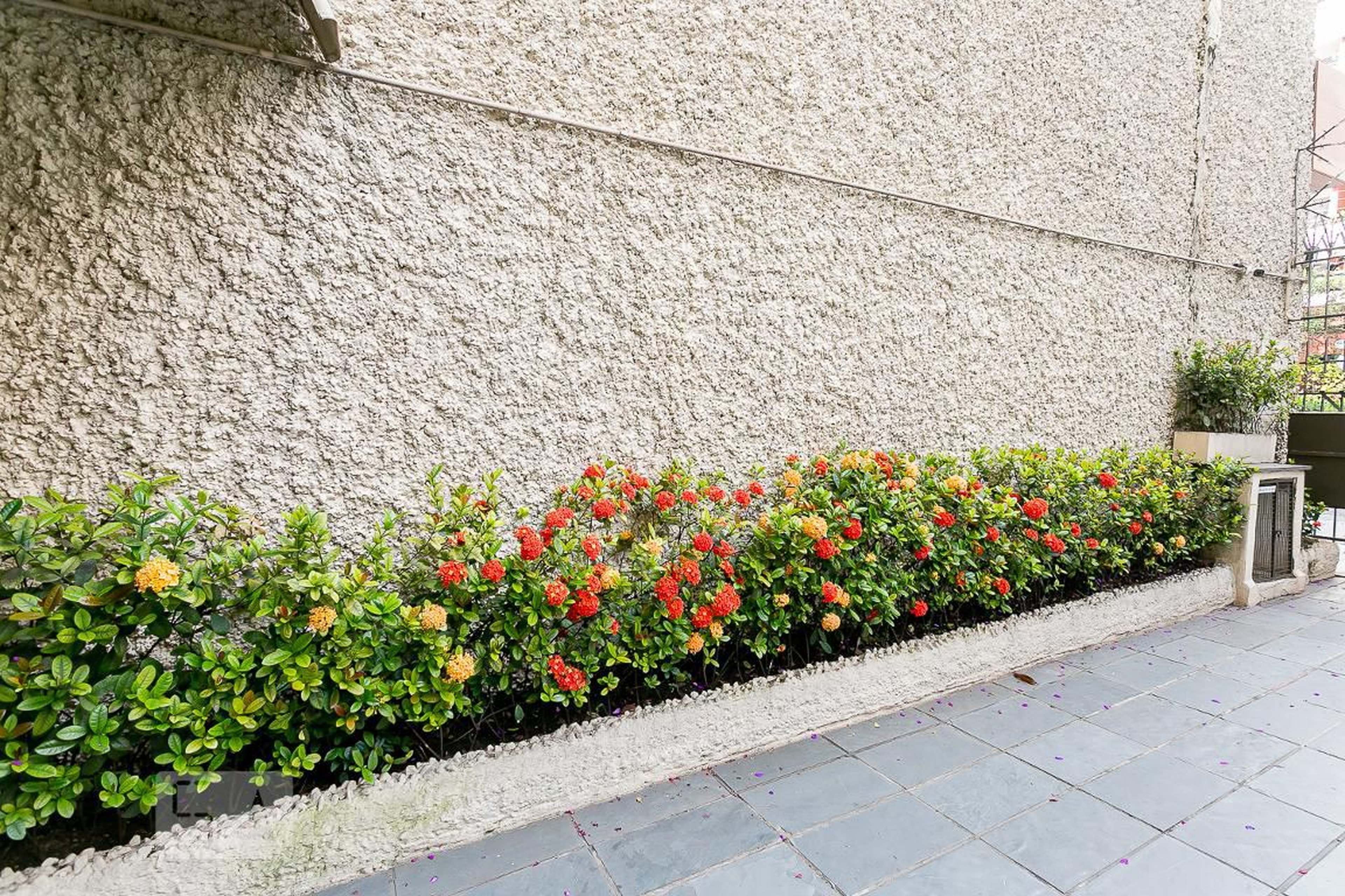 Área Comum - Edificio Joren