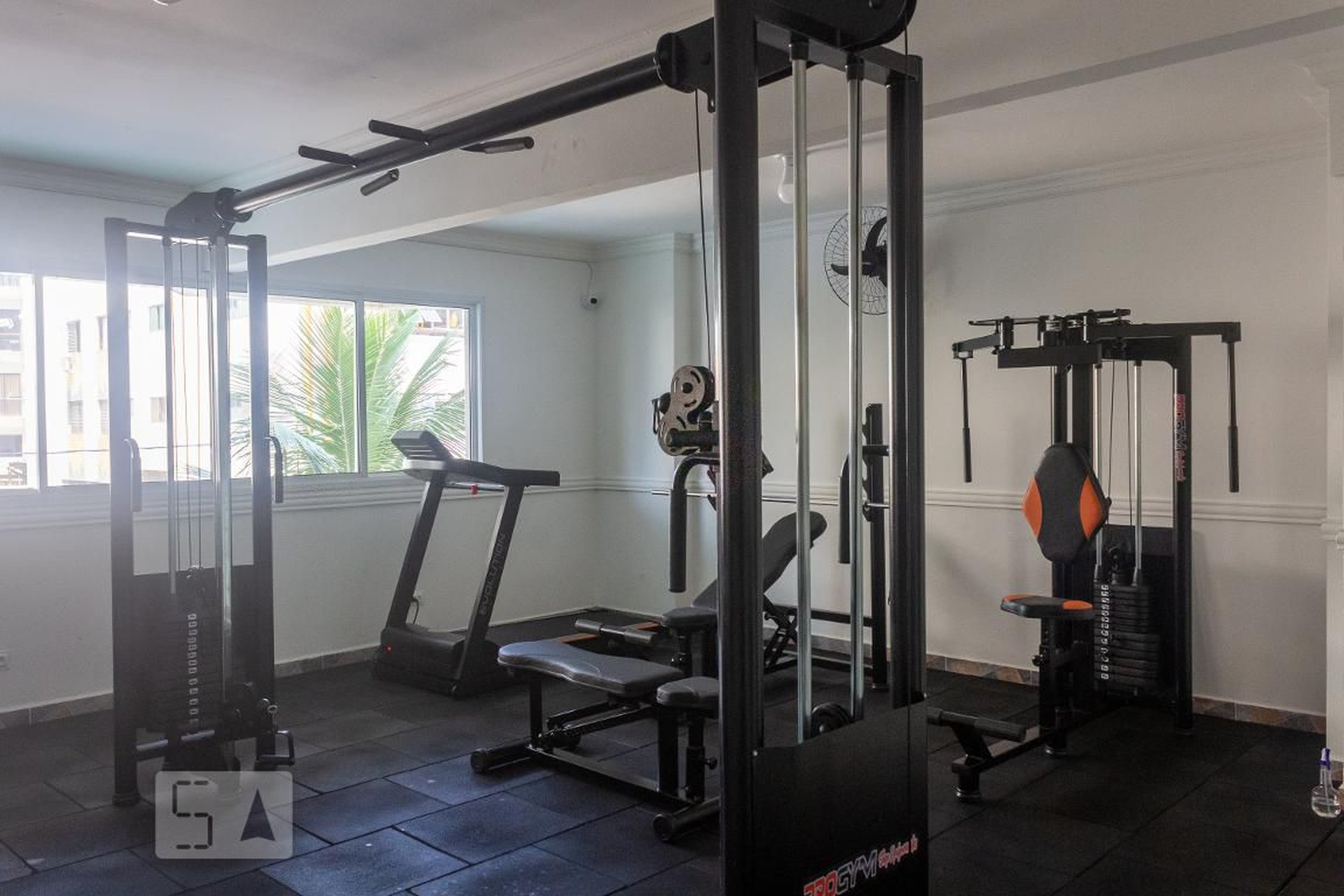 Academia - Neusa de Lourdes