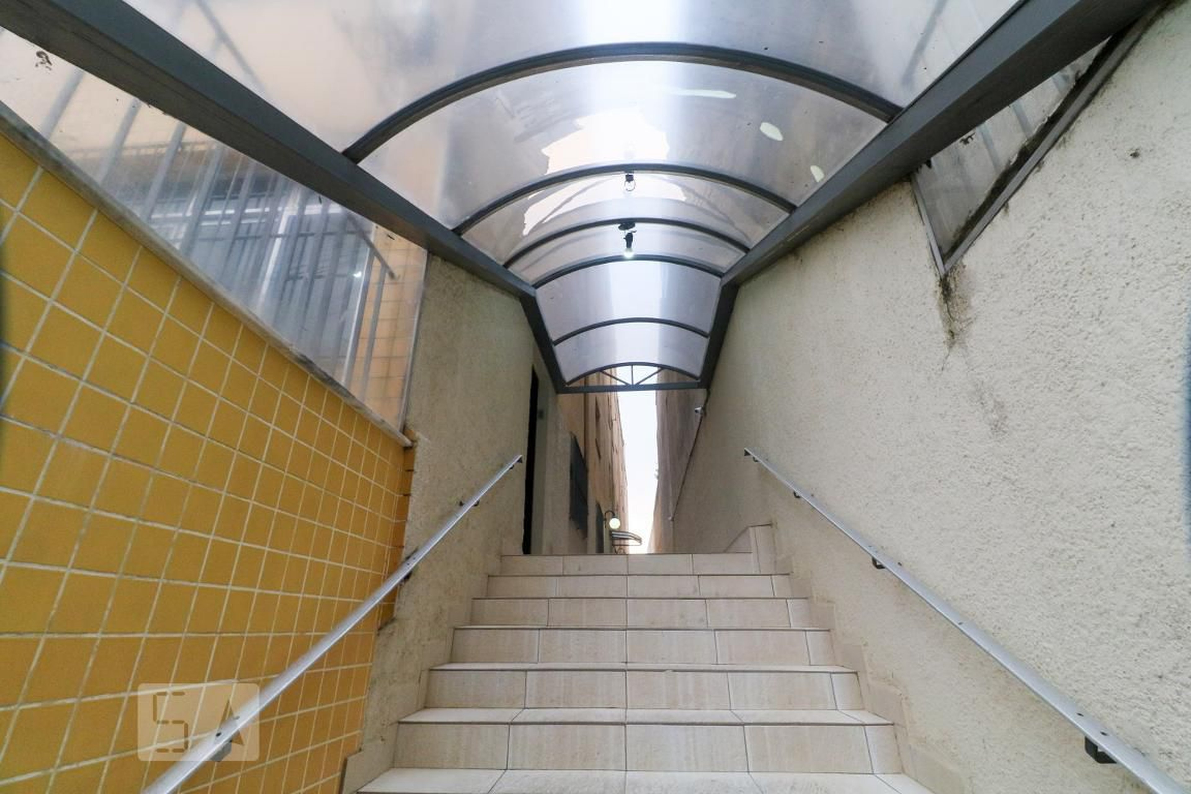 Entrada - Coleta Borges