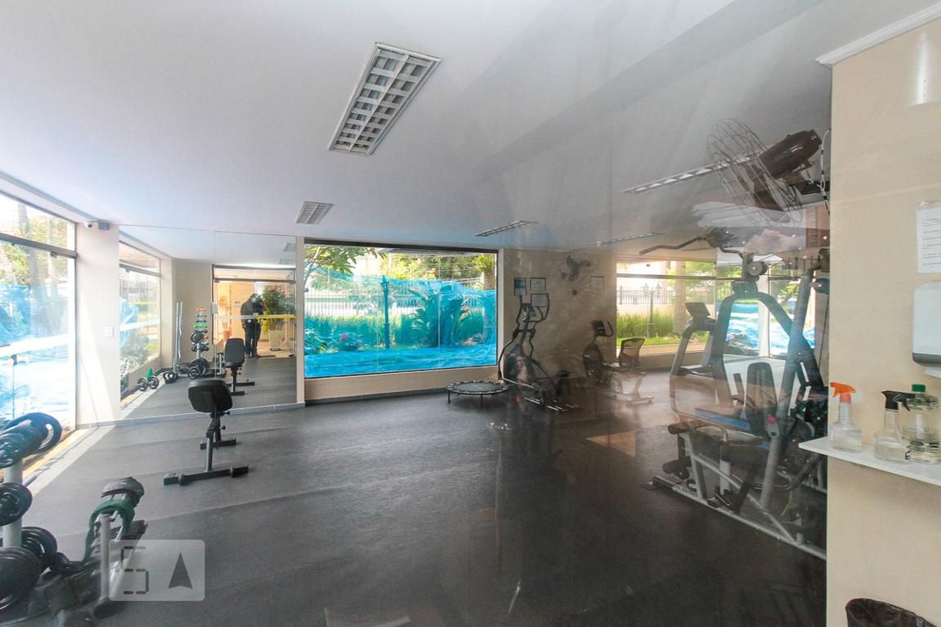 Academia - Esterwest