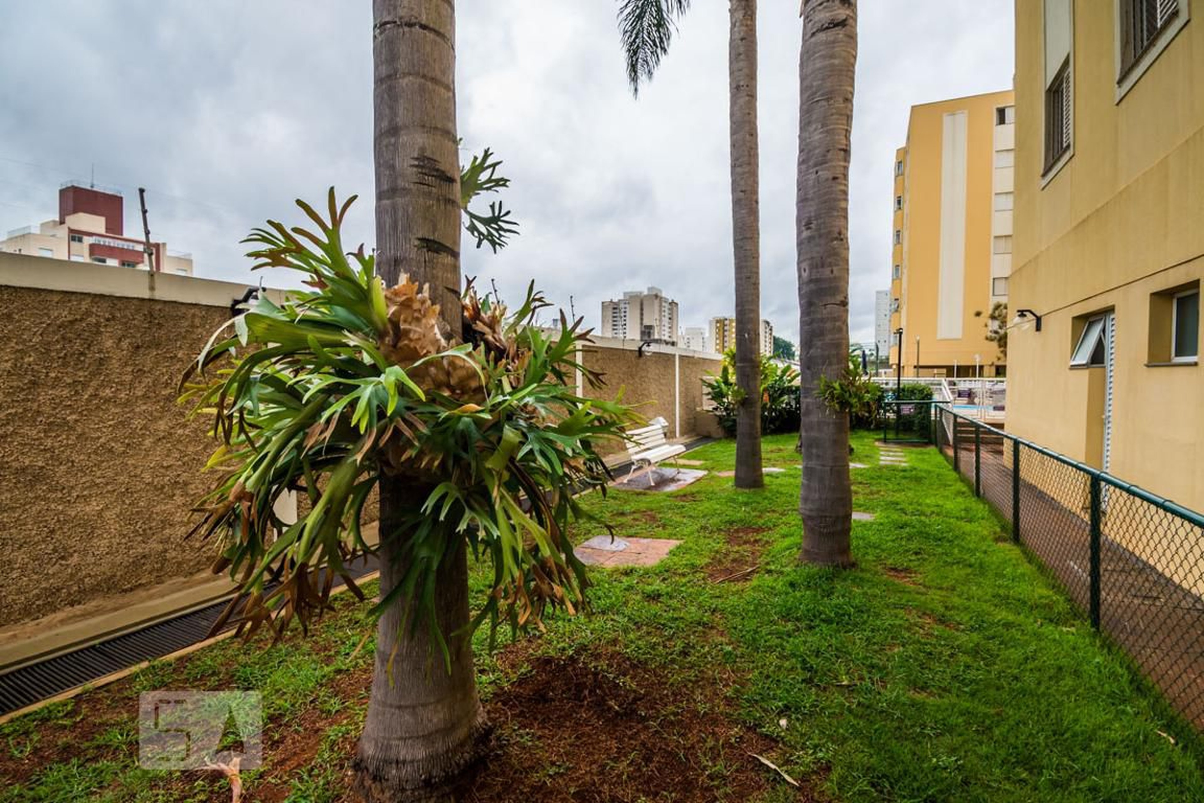 Espaço Pet - Ilhas do Caribe