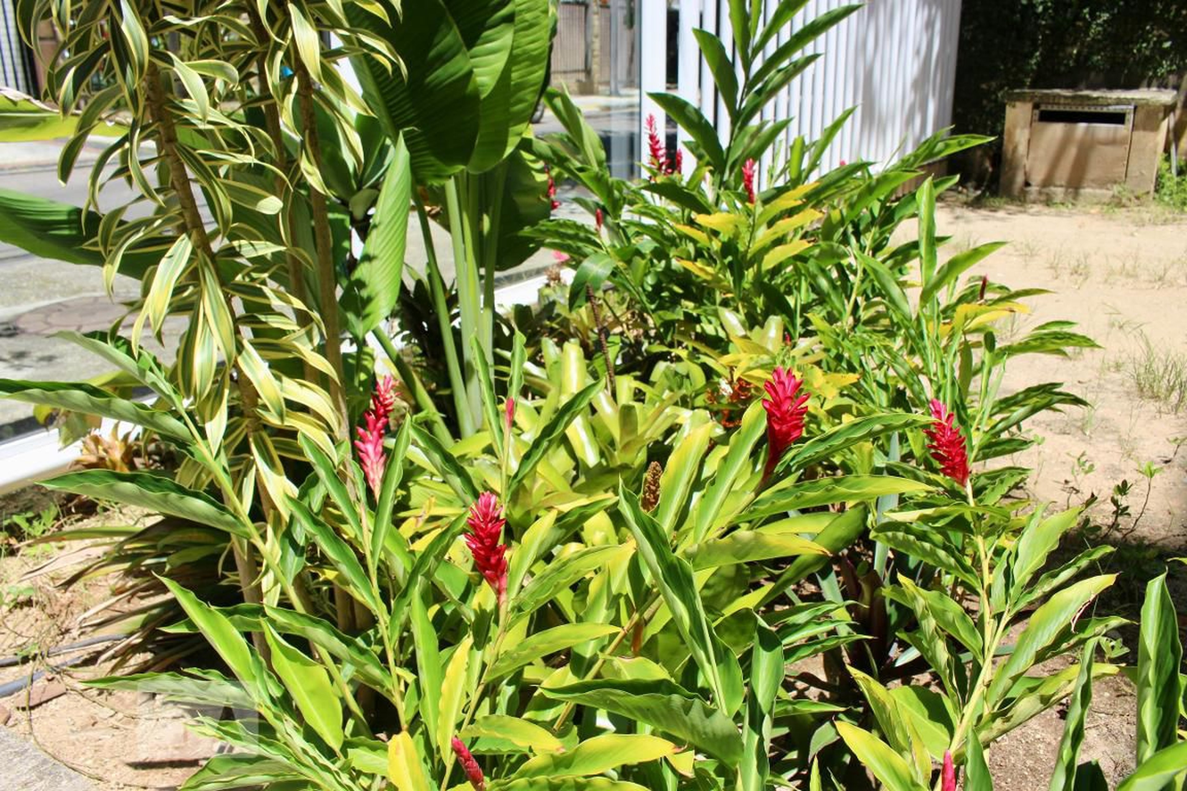 Área comum - Edifício Merco