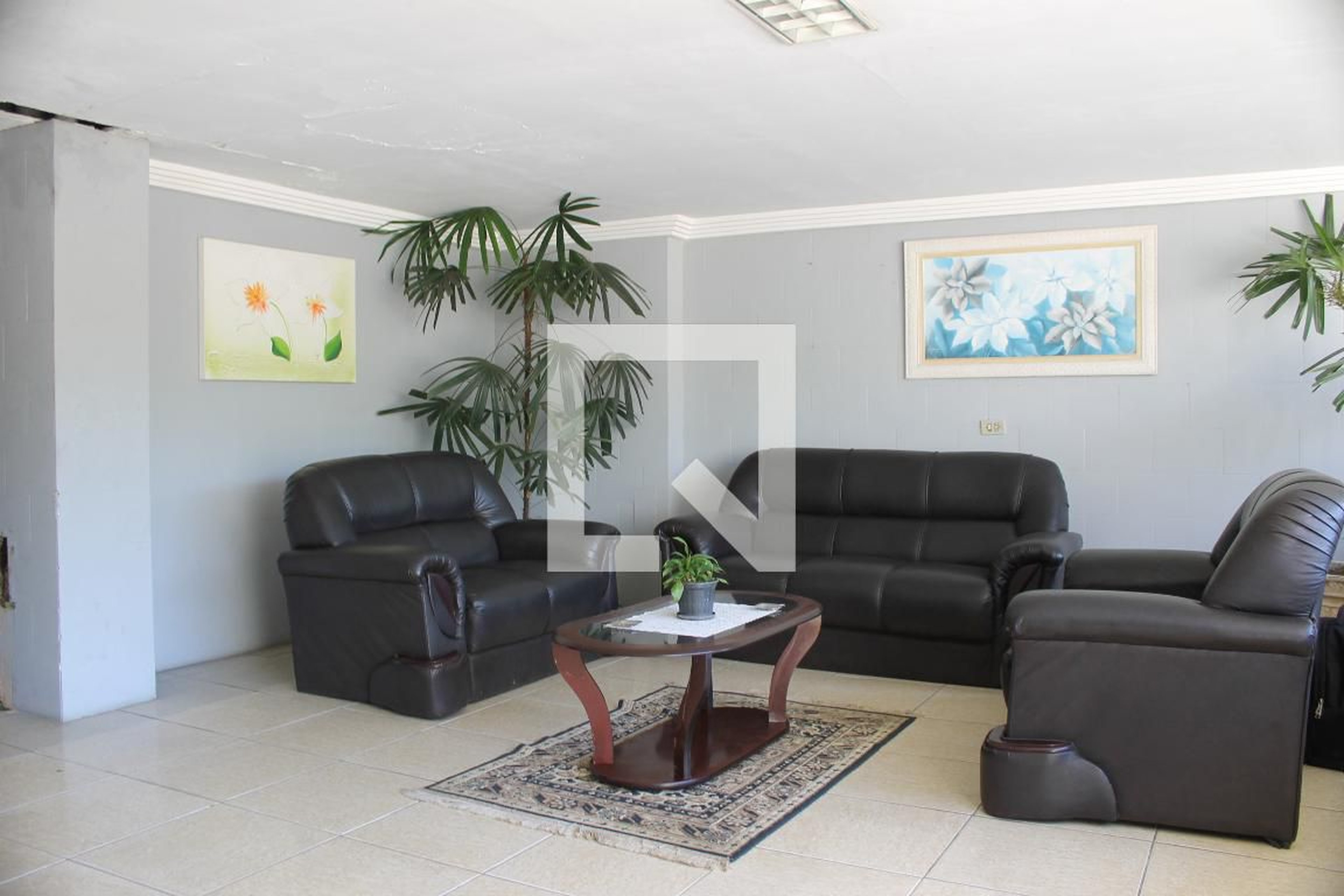 Hall social - Agrostis