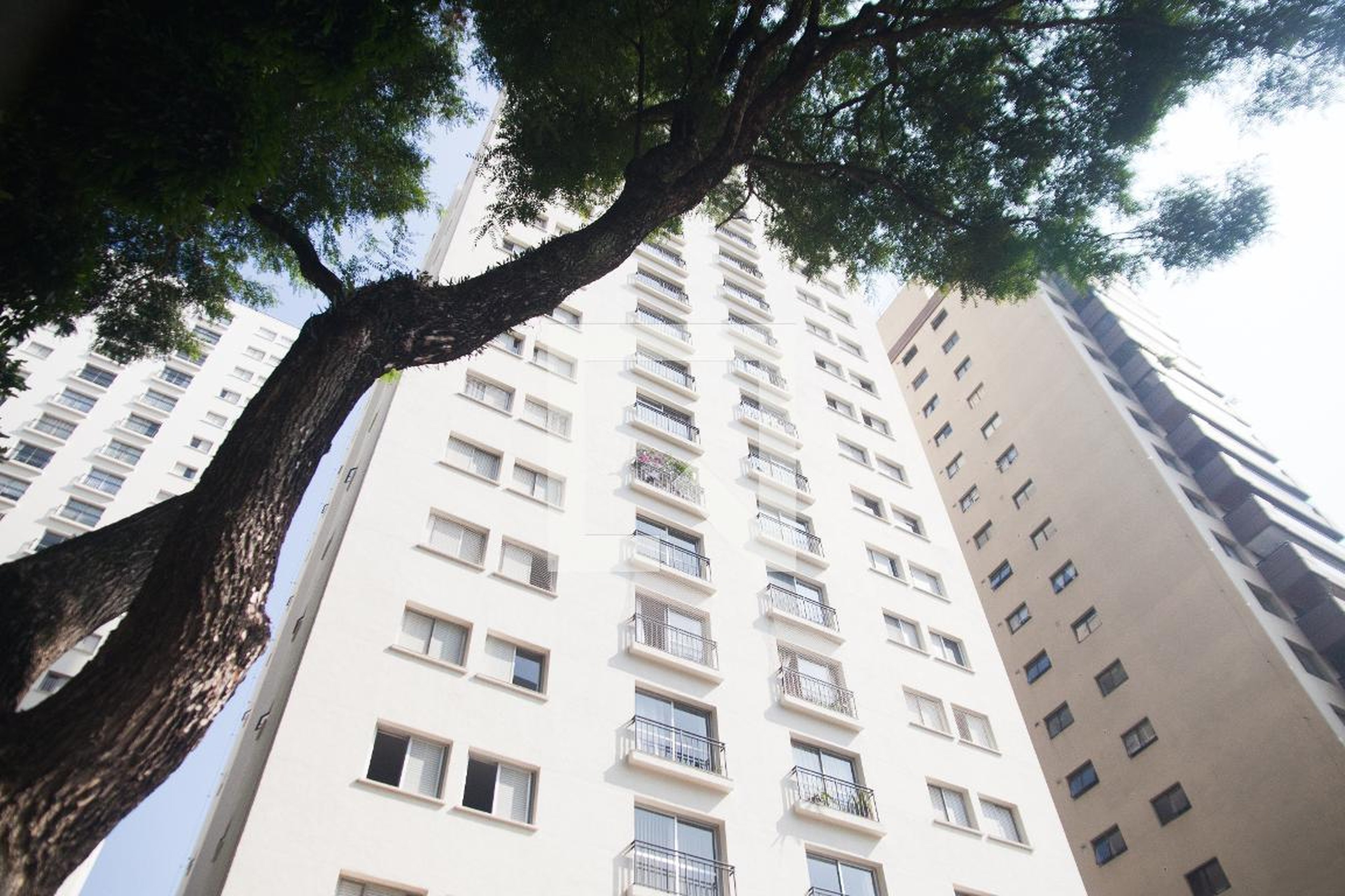 Fachada do Prédio Condomínio em Rua São Vicente de Paulo, 637