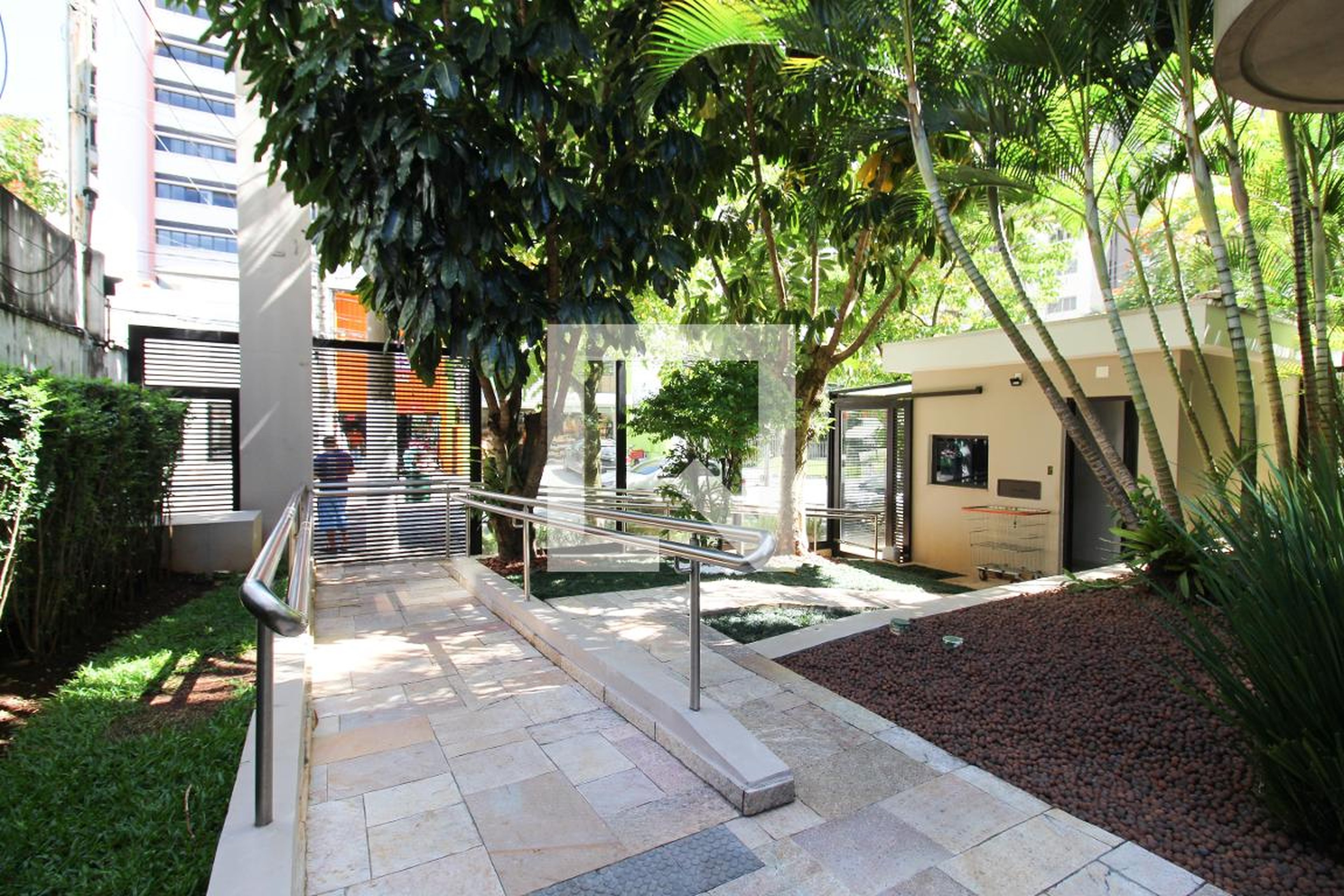 Entrada - Golden Bird