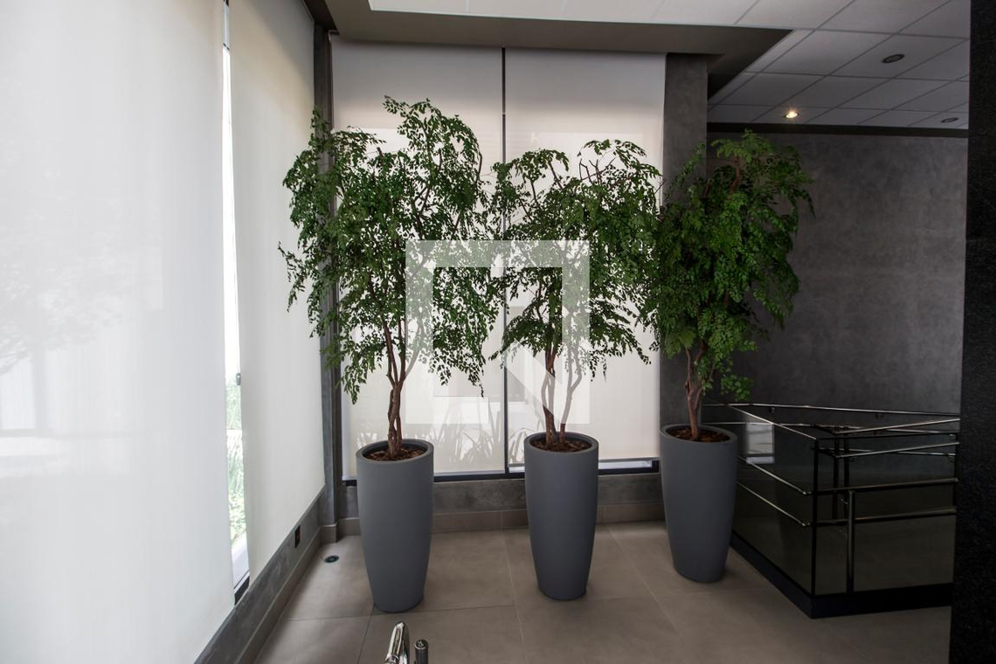 Hall de Entrada - Canvas High Houses