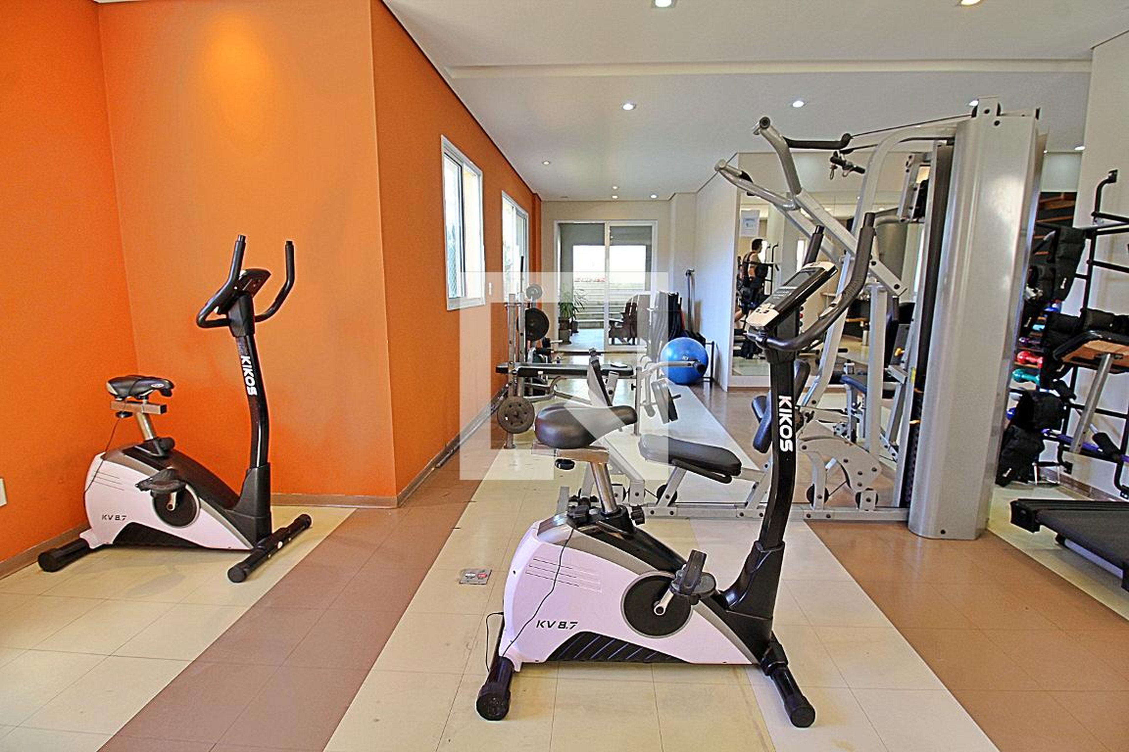 Academia - Celebration