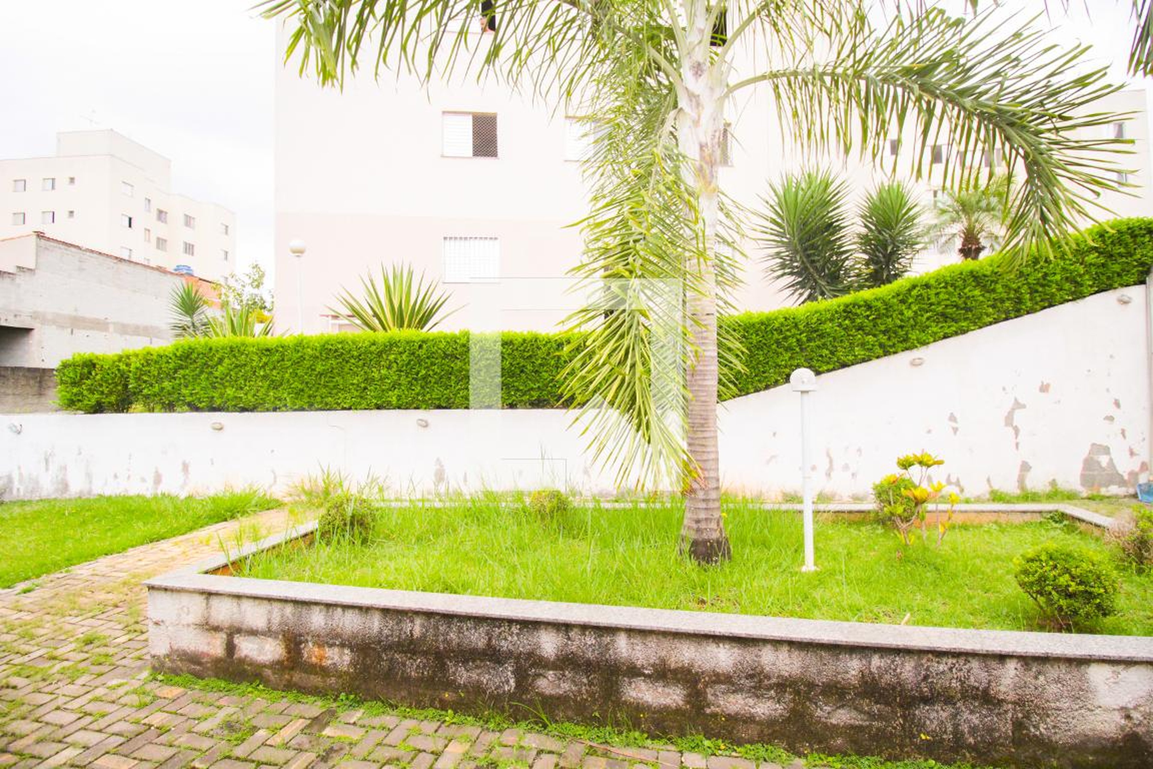 Área Externa - Amaral Furlan