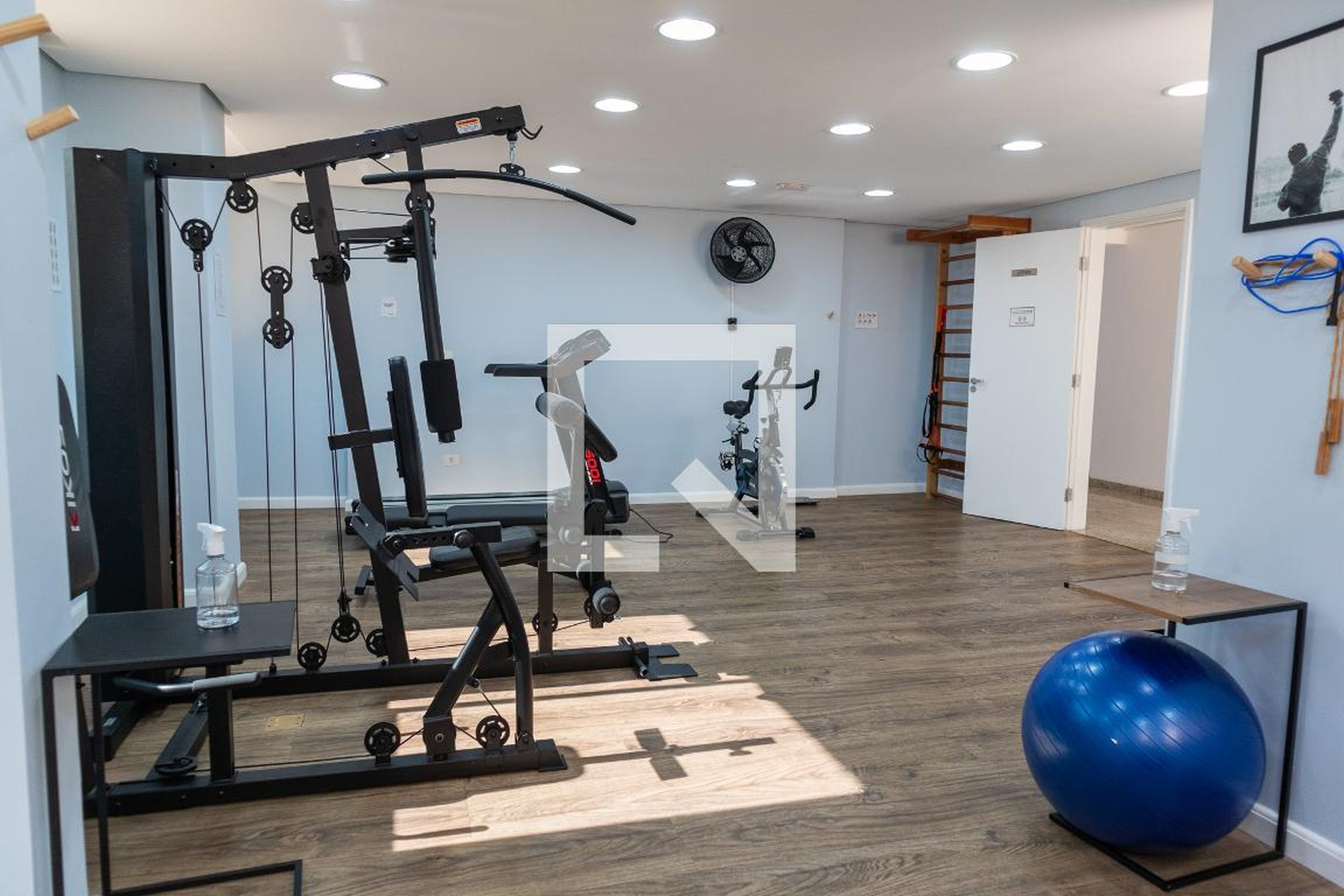 Academia - King Albert