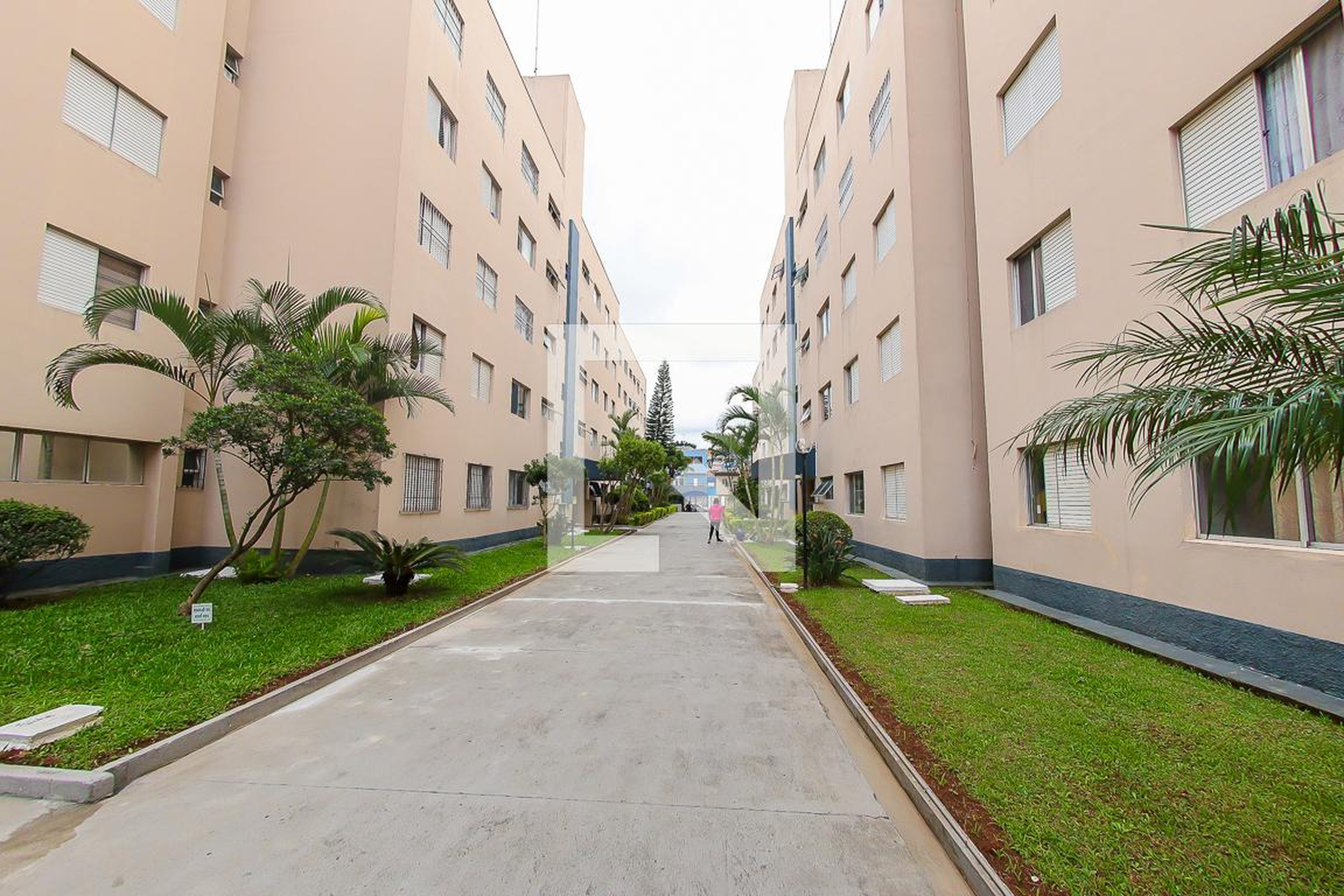 Area Comum - Serras do Brasil