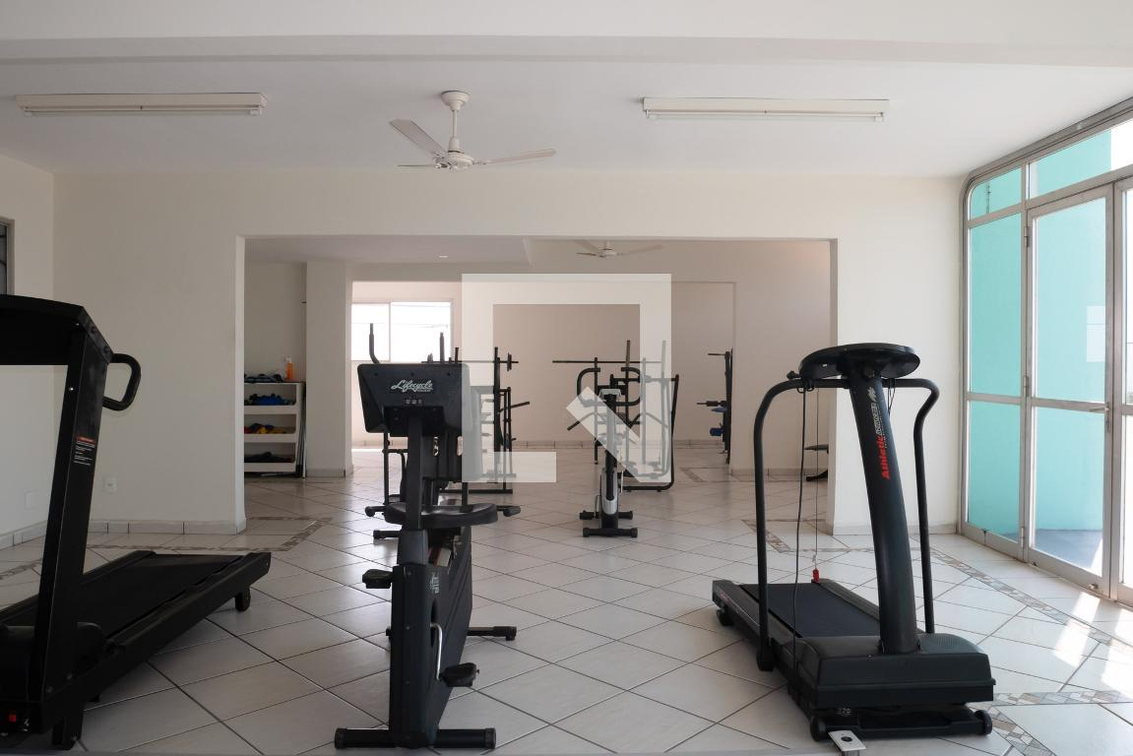 Academia - Delfim Verde