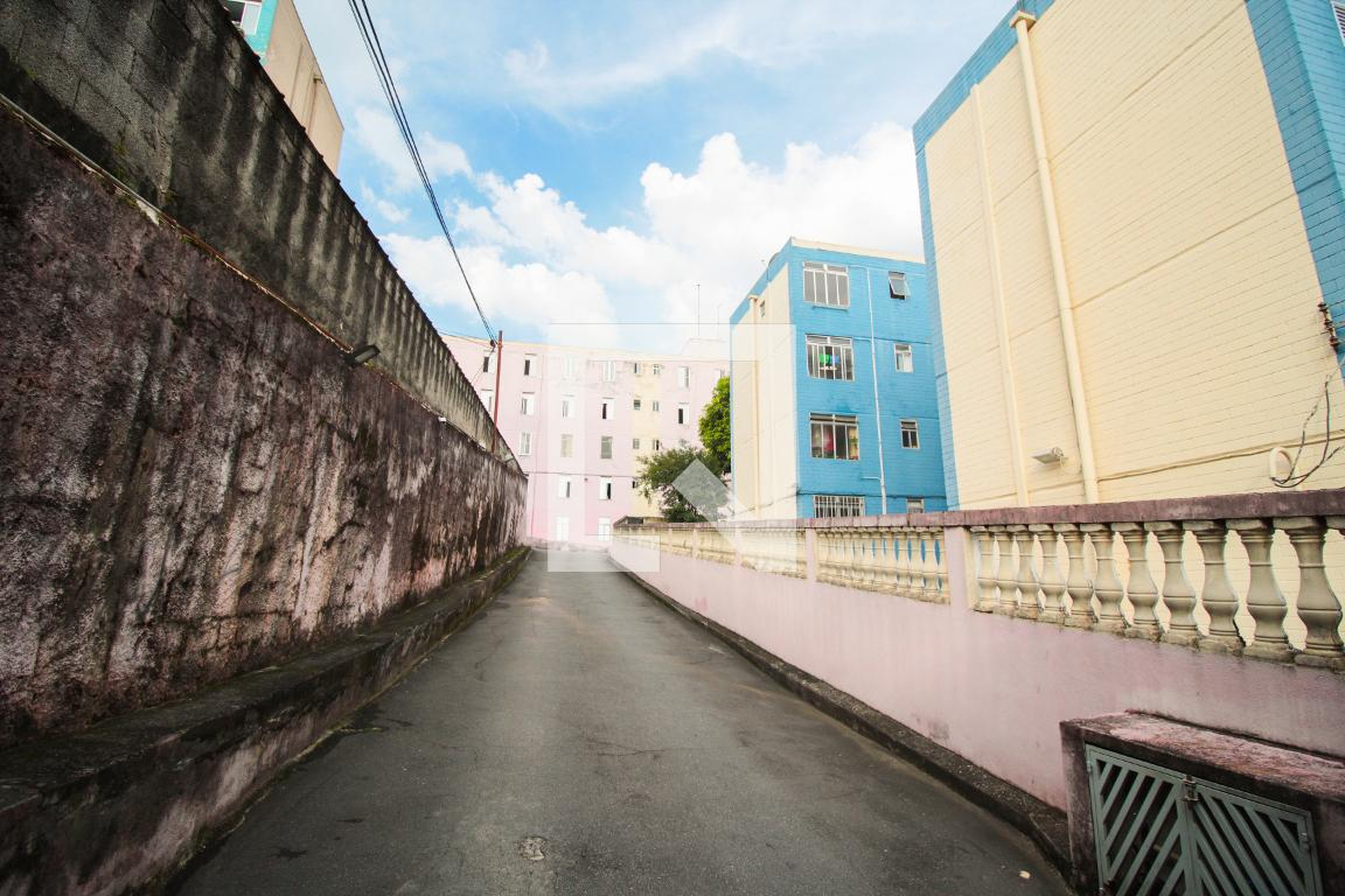 Área Externa - Crisântemos 3