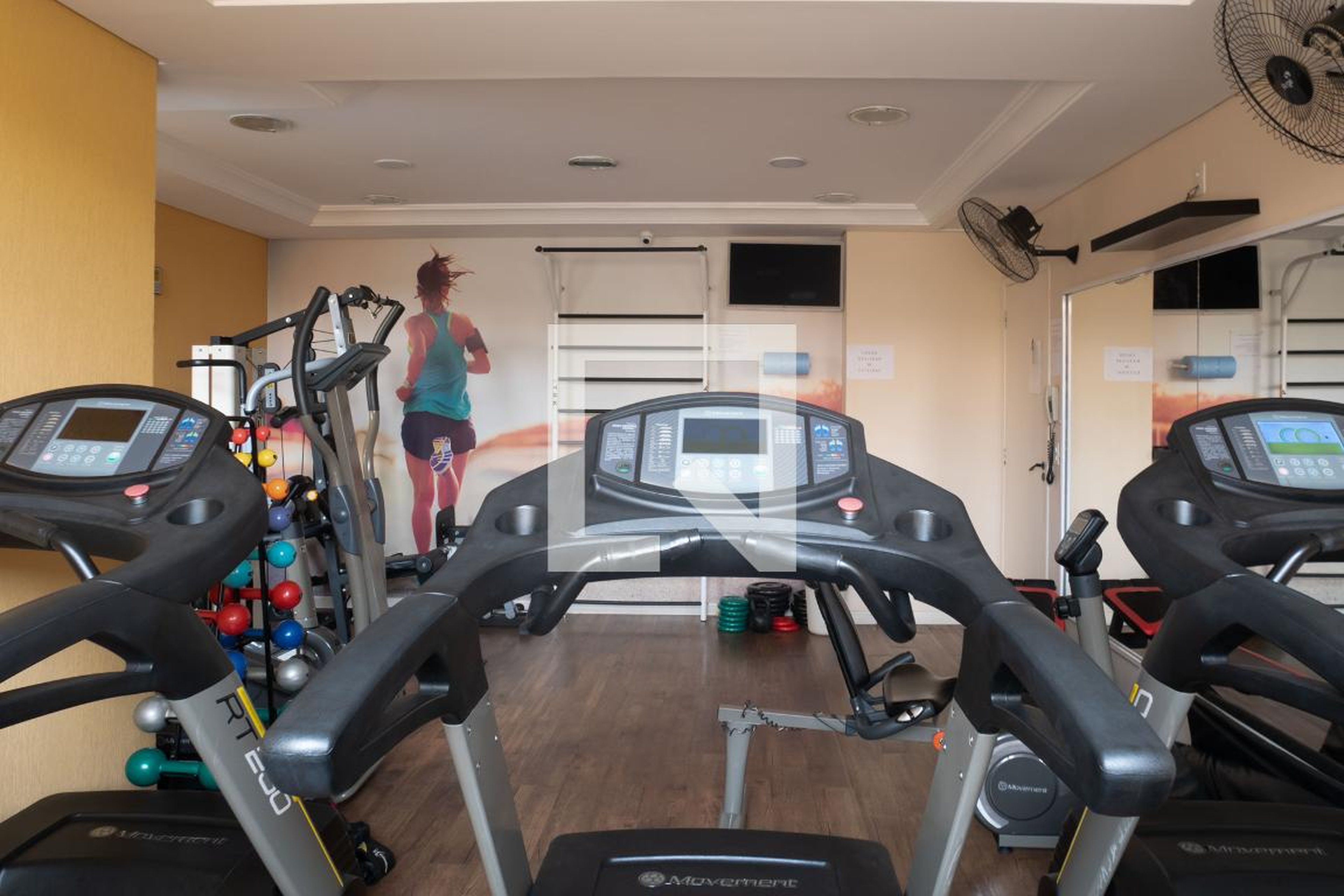 Academia - Citta di Roma