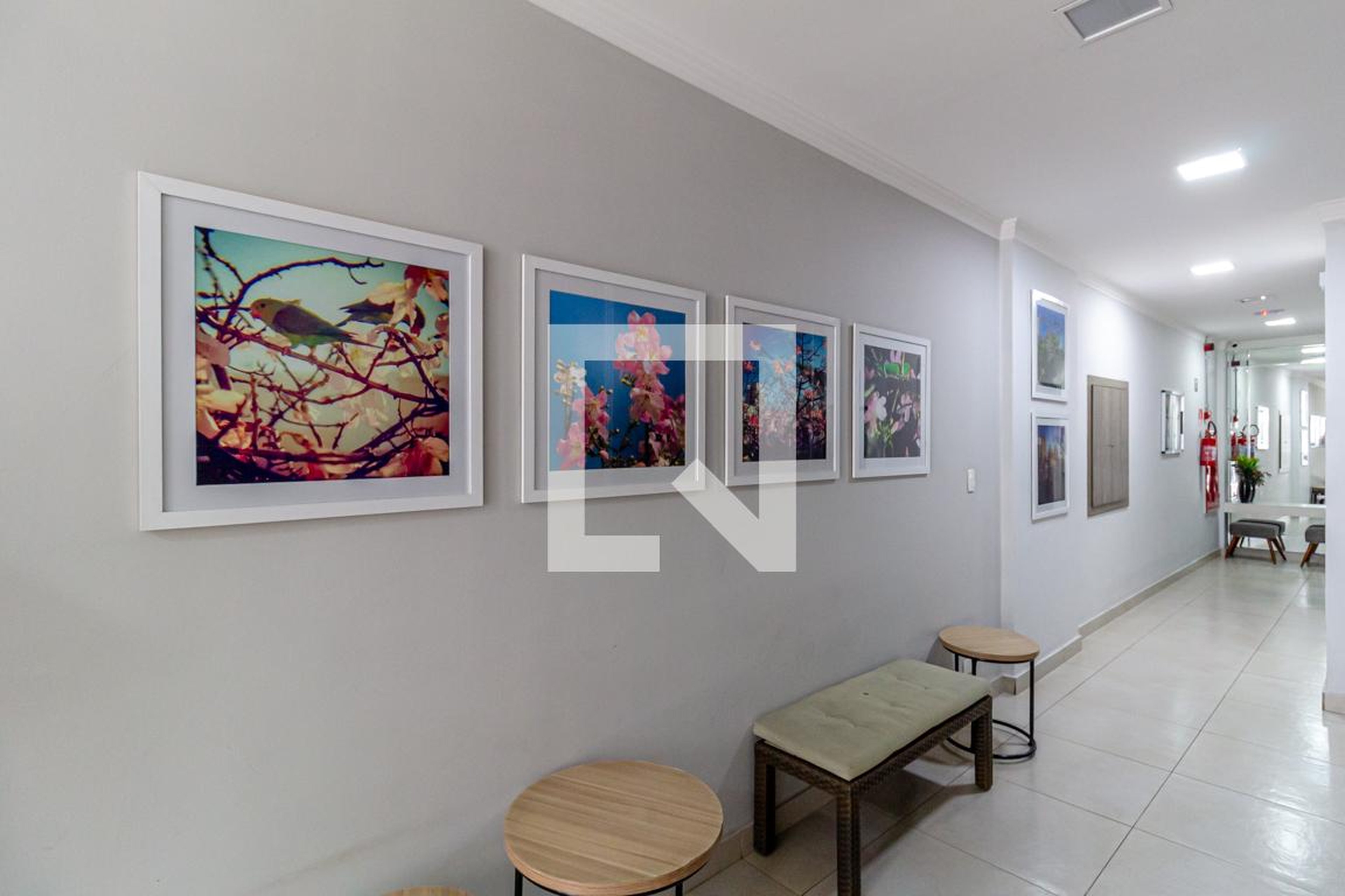 Hall Social - Araniz